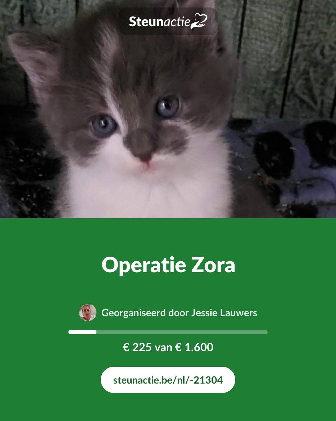 Voorbeeld van de afbeelding