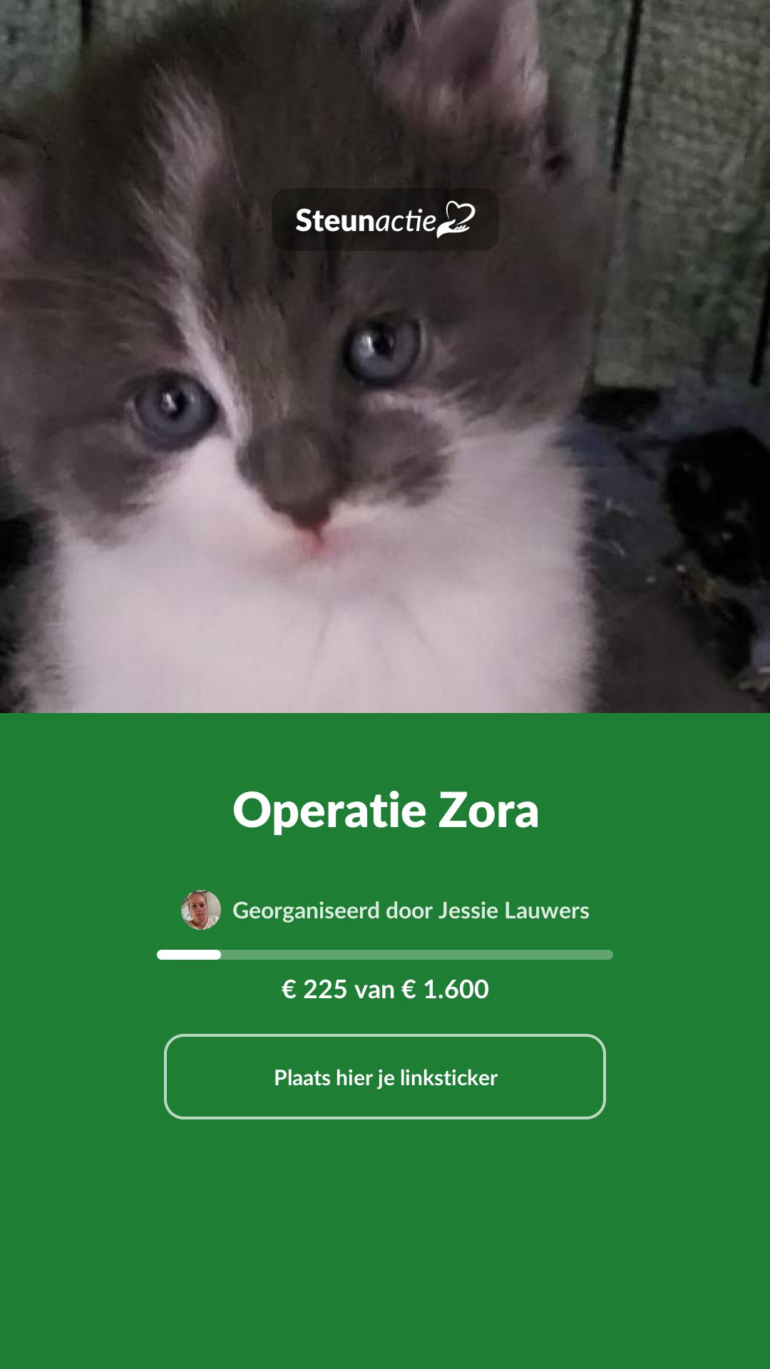Voorbeeld van de afbeelding