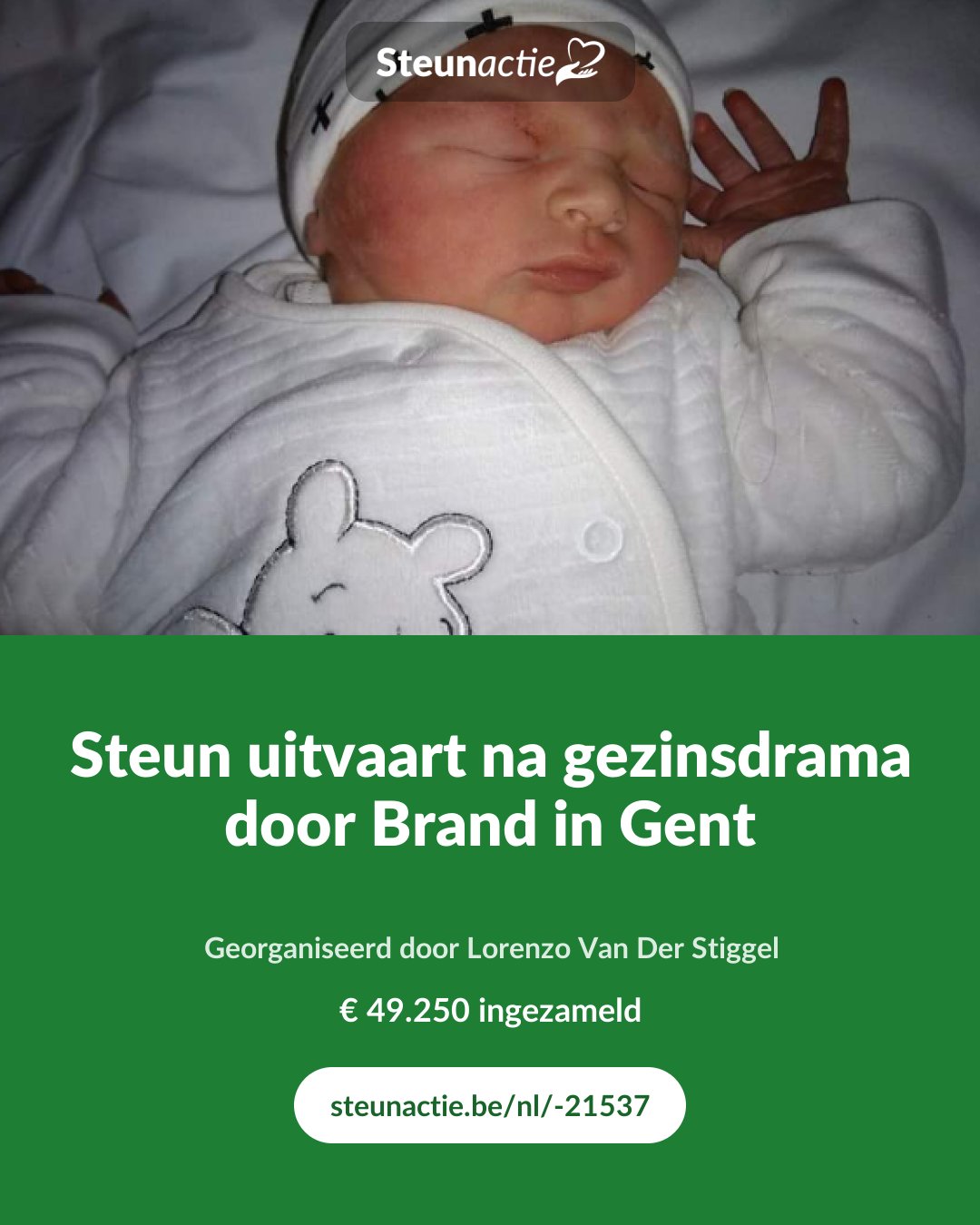 Voorbeeld van de afbeelding