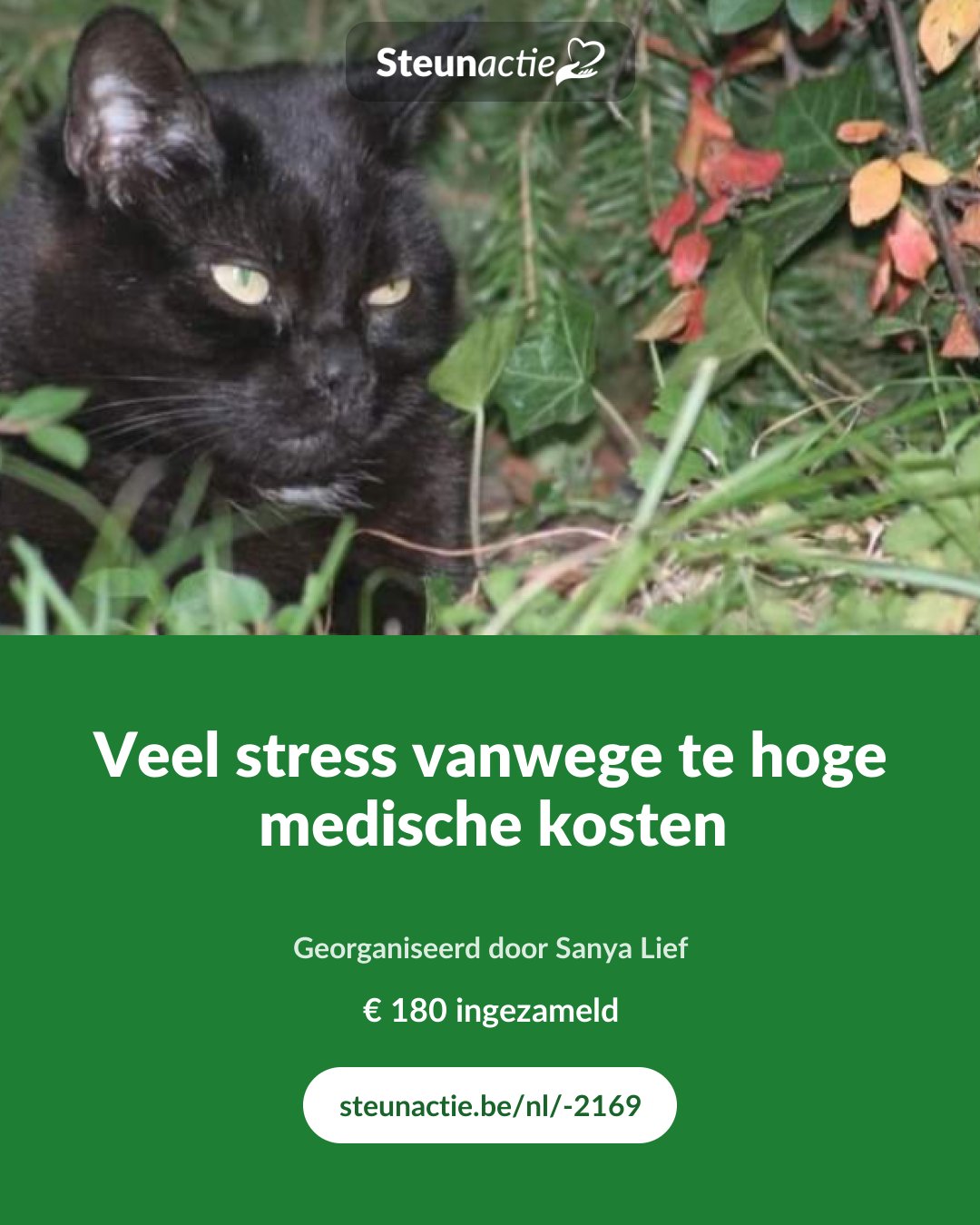 Voorbeeld van de afbeelding