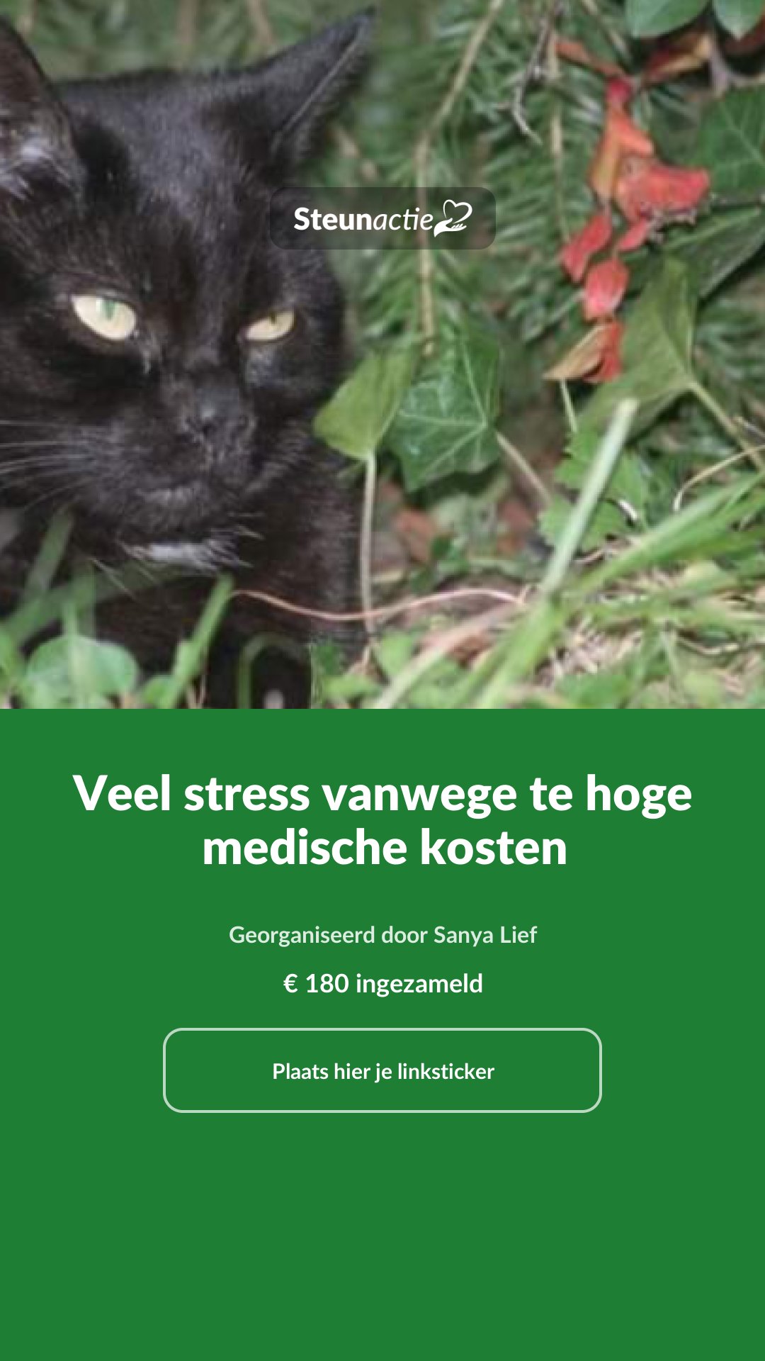Voorbeeld van de afbeelding