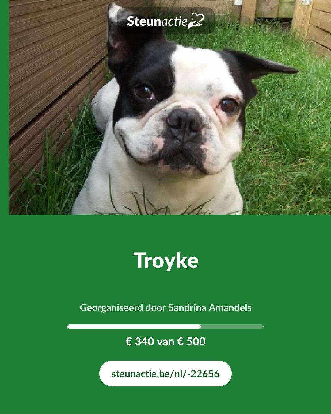 Voorbeeld van de afbeelding