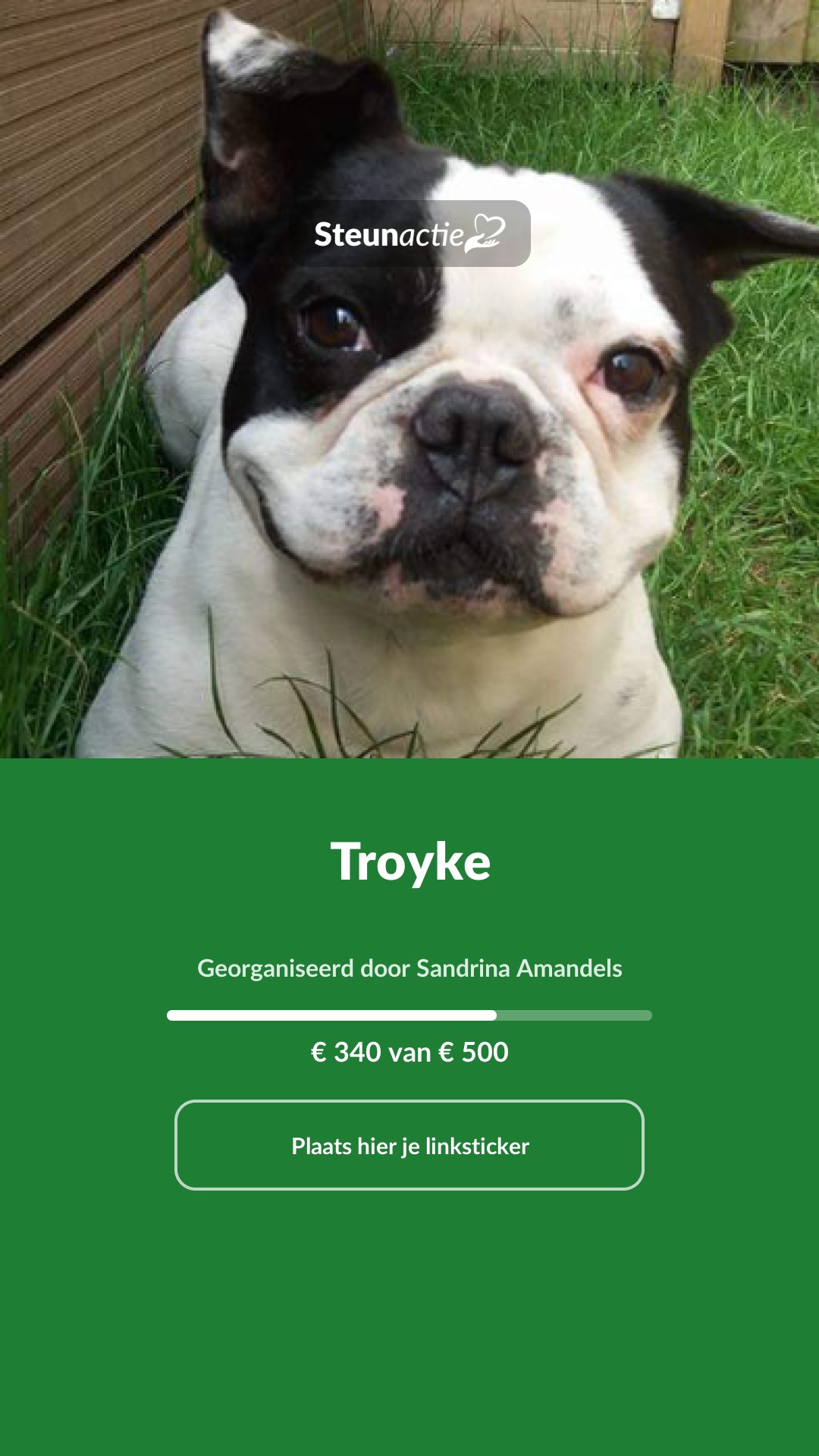 Voorbeeld van de afbeelding