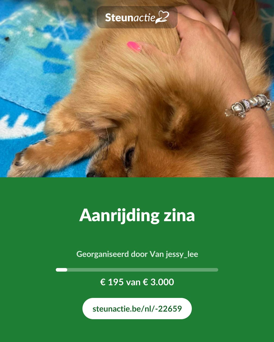 Voorbeeld van de afbeelding