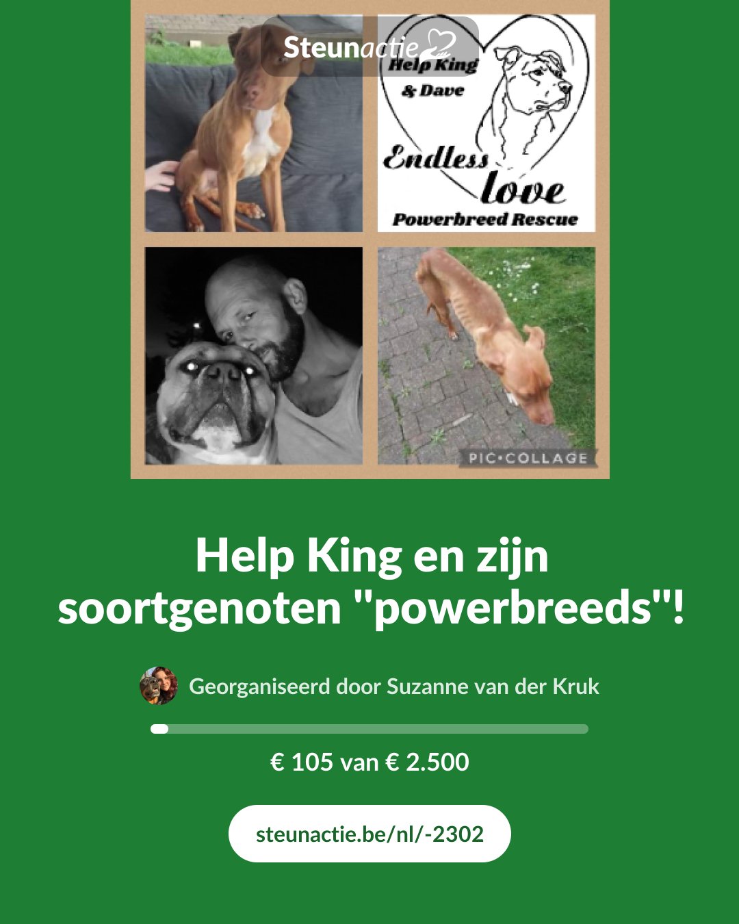 Voorbeeld van de afbeelding