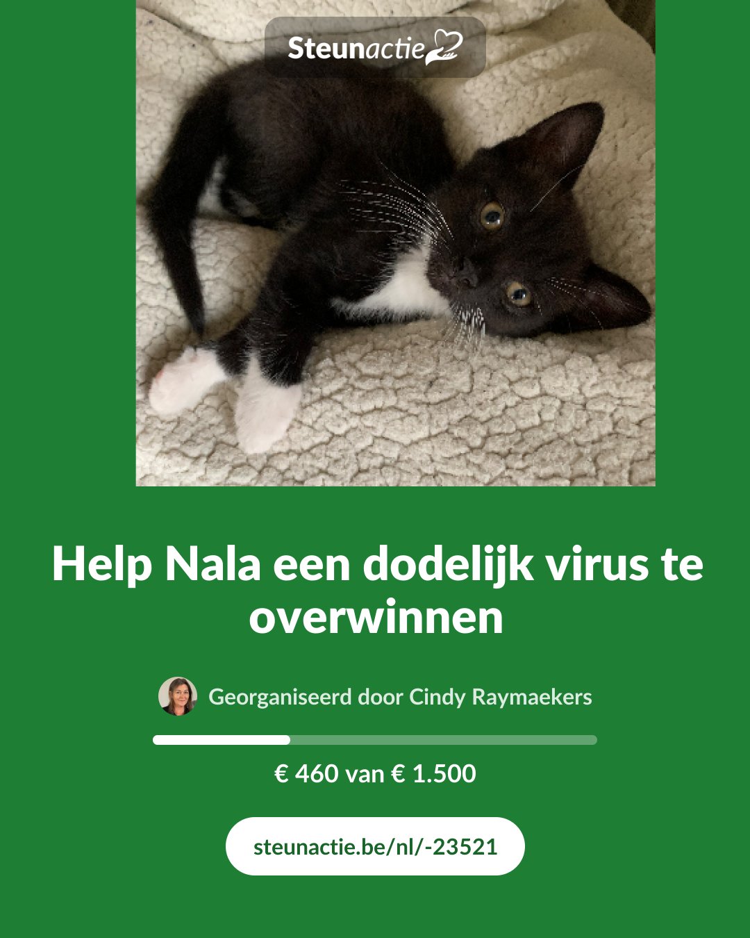 Voorbeeld van de afbeelding