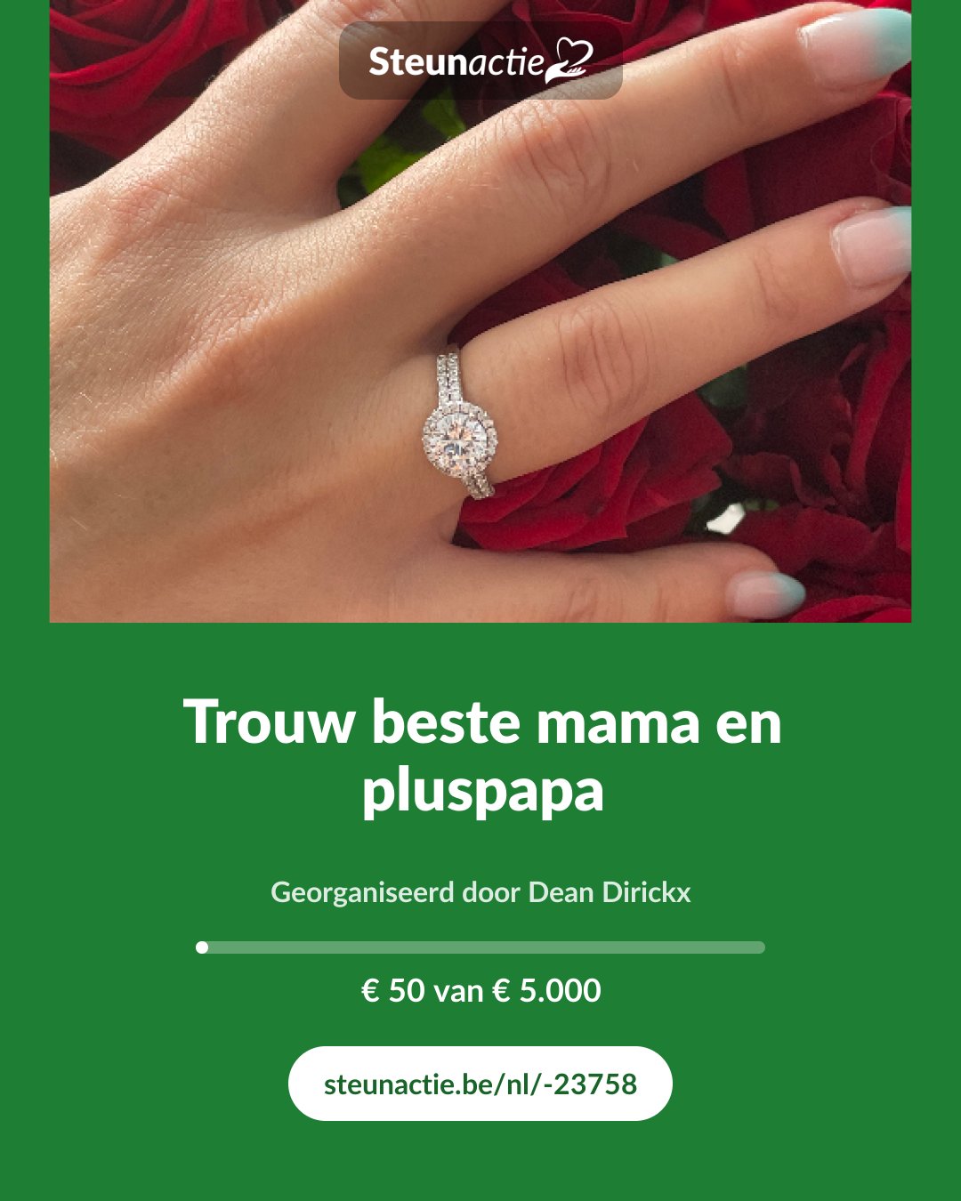 Voorbeeld van de afbeelding