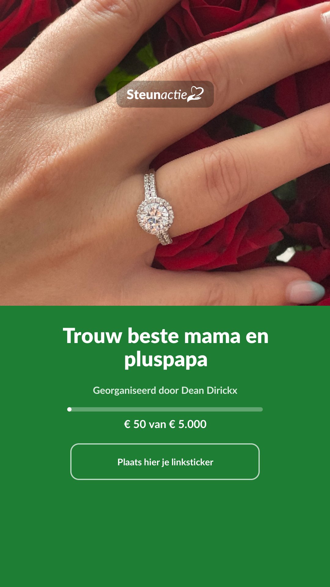 Voorbeeld van de afbeelding