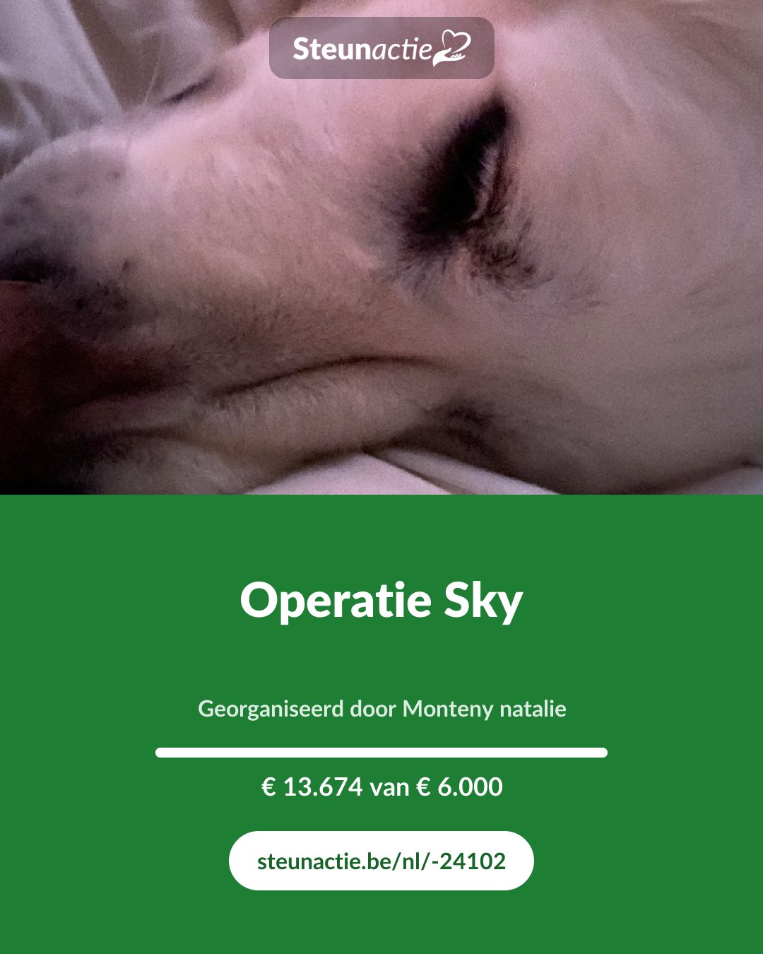 Voorbeeld van de afbeelding