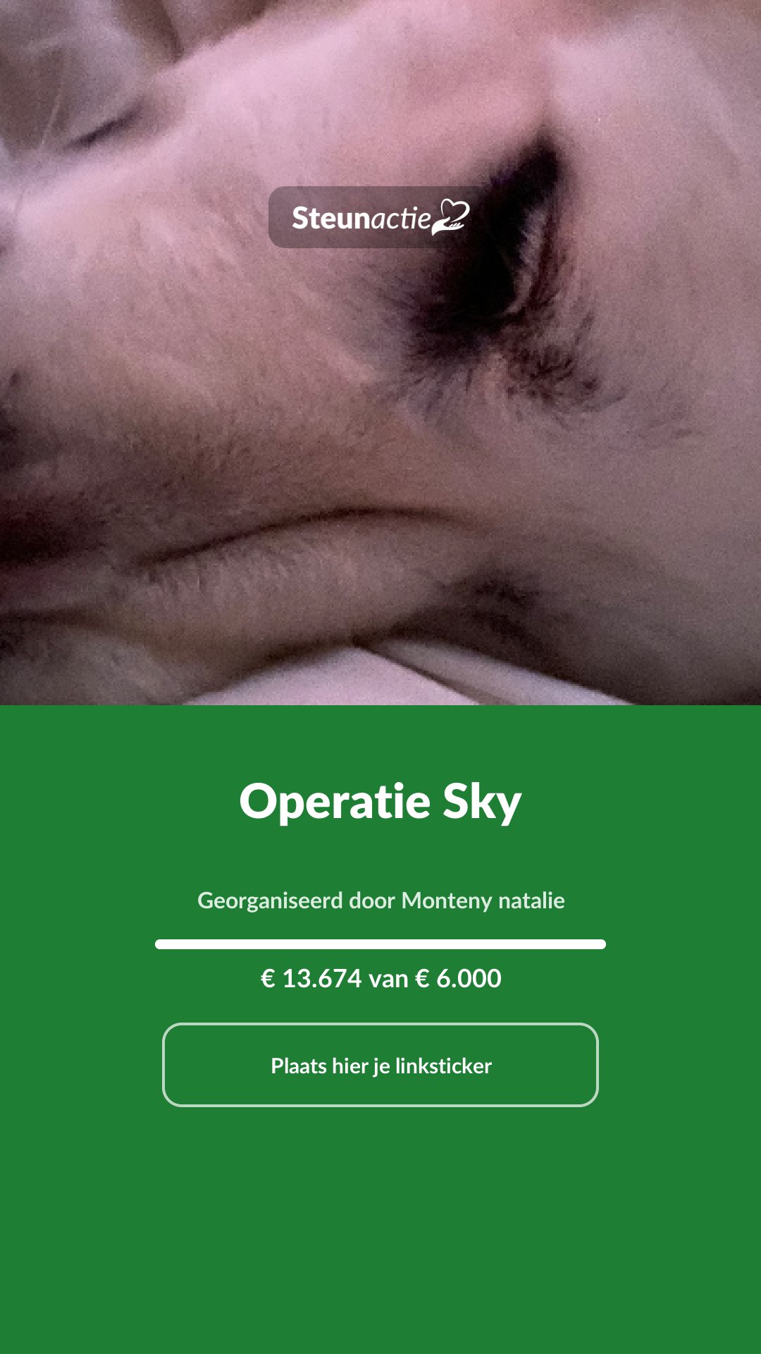 Voorbeeld van de afbeelding