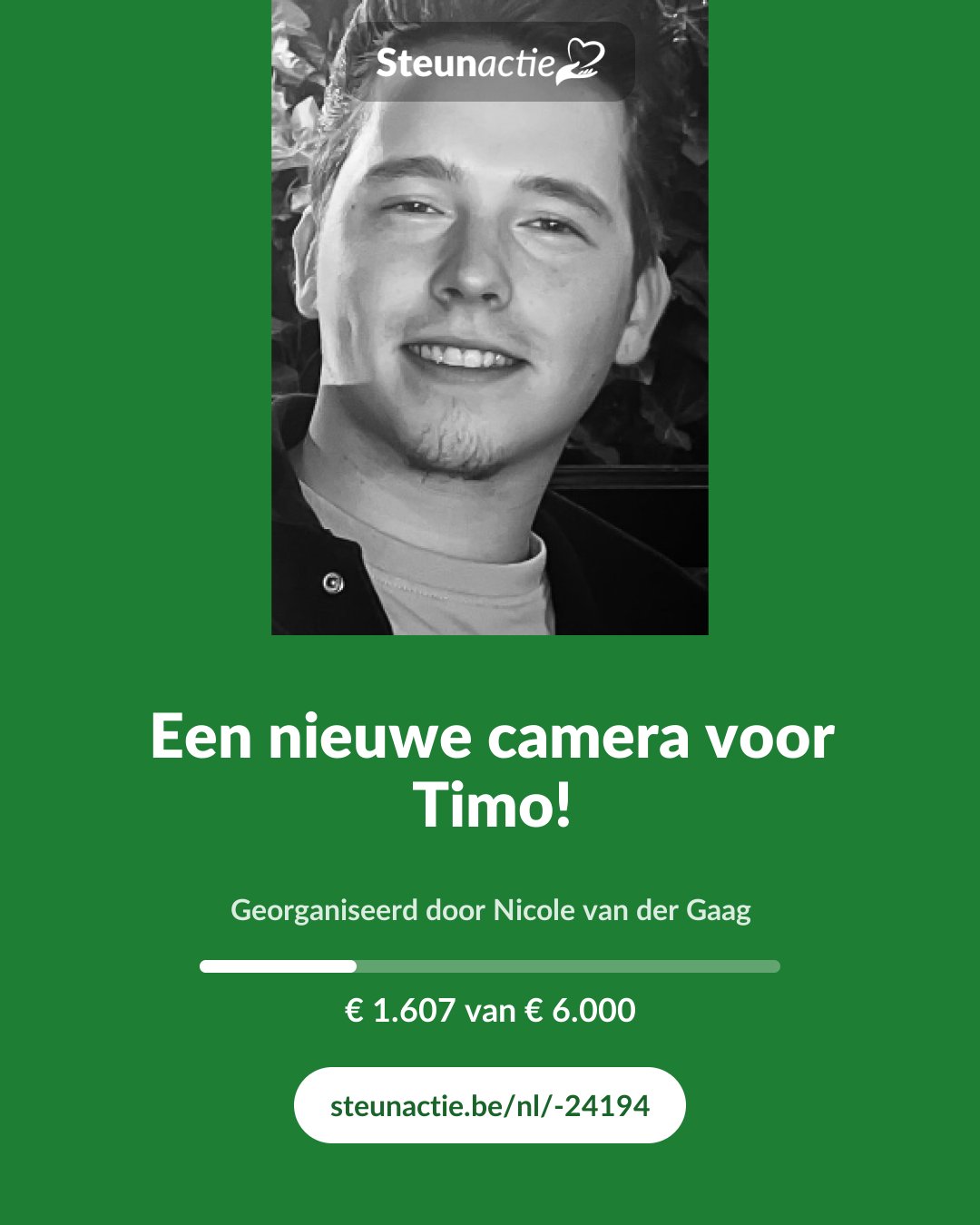Voorbeeld van de afbeelding