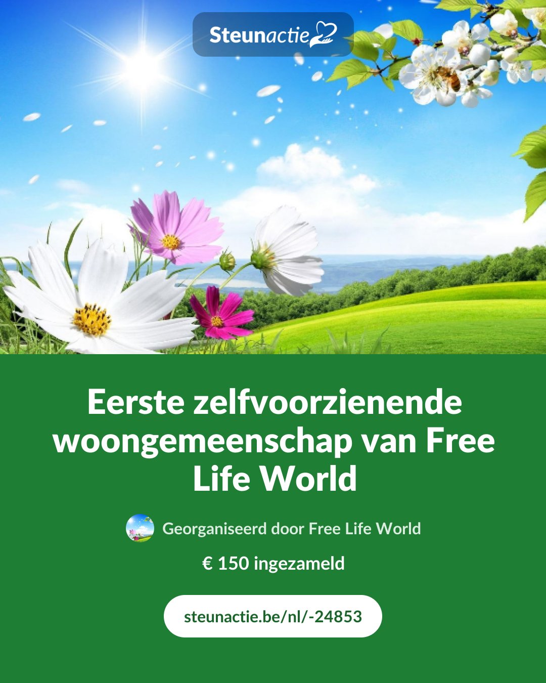 Voorbeeld van de afbeelding