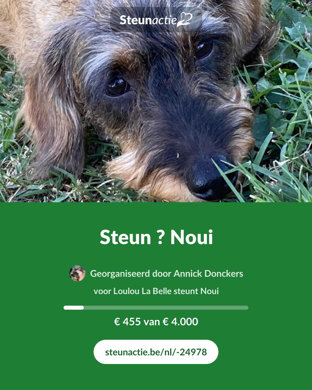 Voorbeeld van de afbeelding
