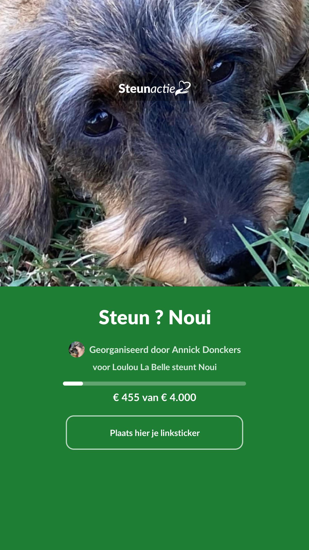 Voorbeeld van de afbeelding