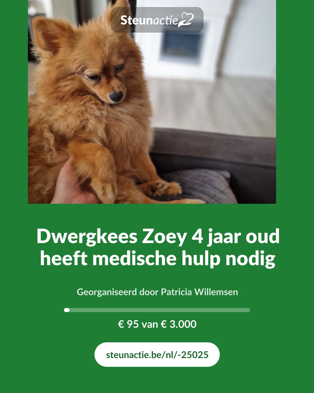 Voorbeeld van de afbeelding
