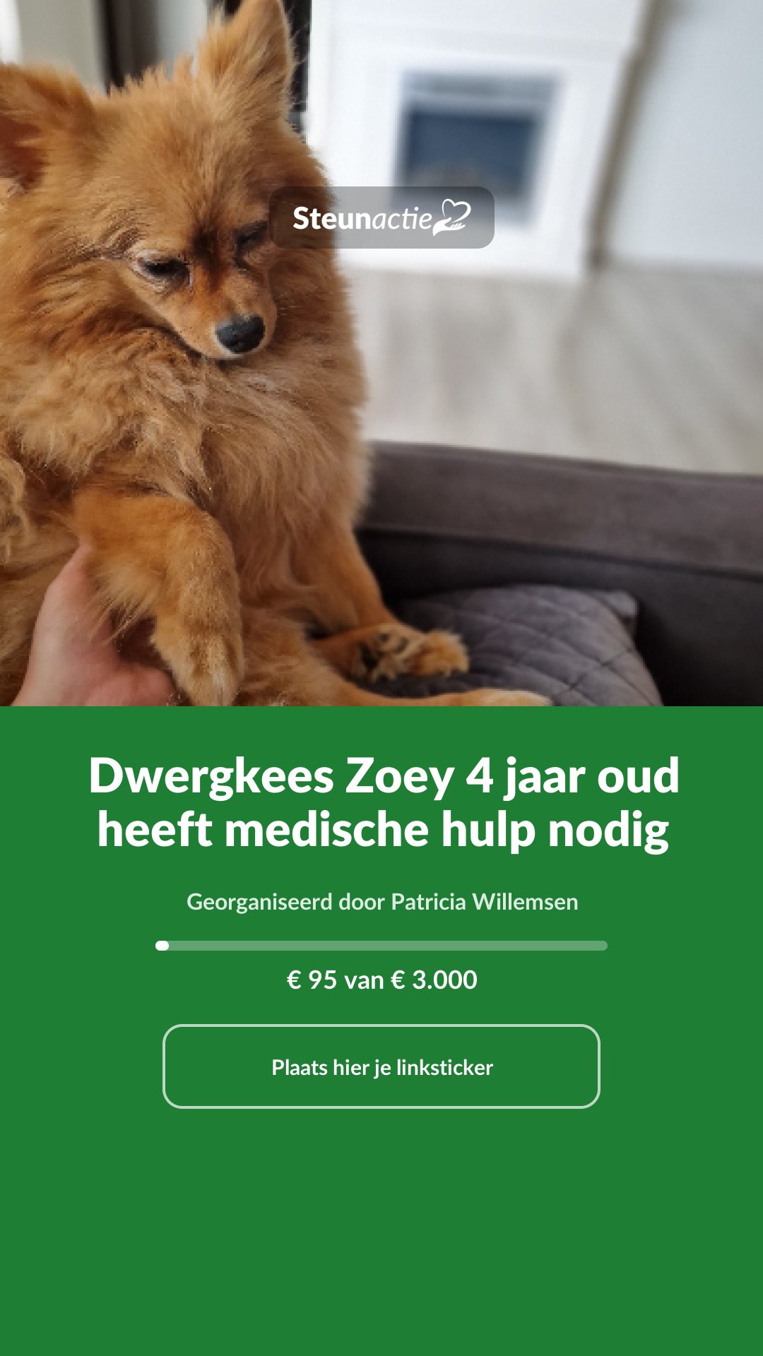 Voorbeeld van de afbeelding