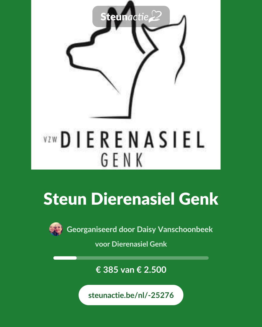 Voorbeeld van de afbeelding