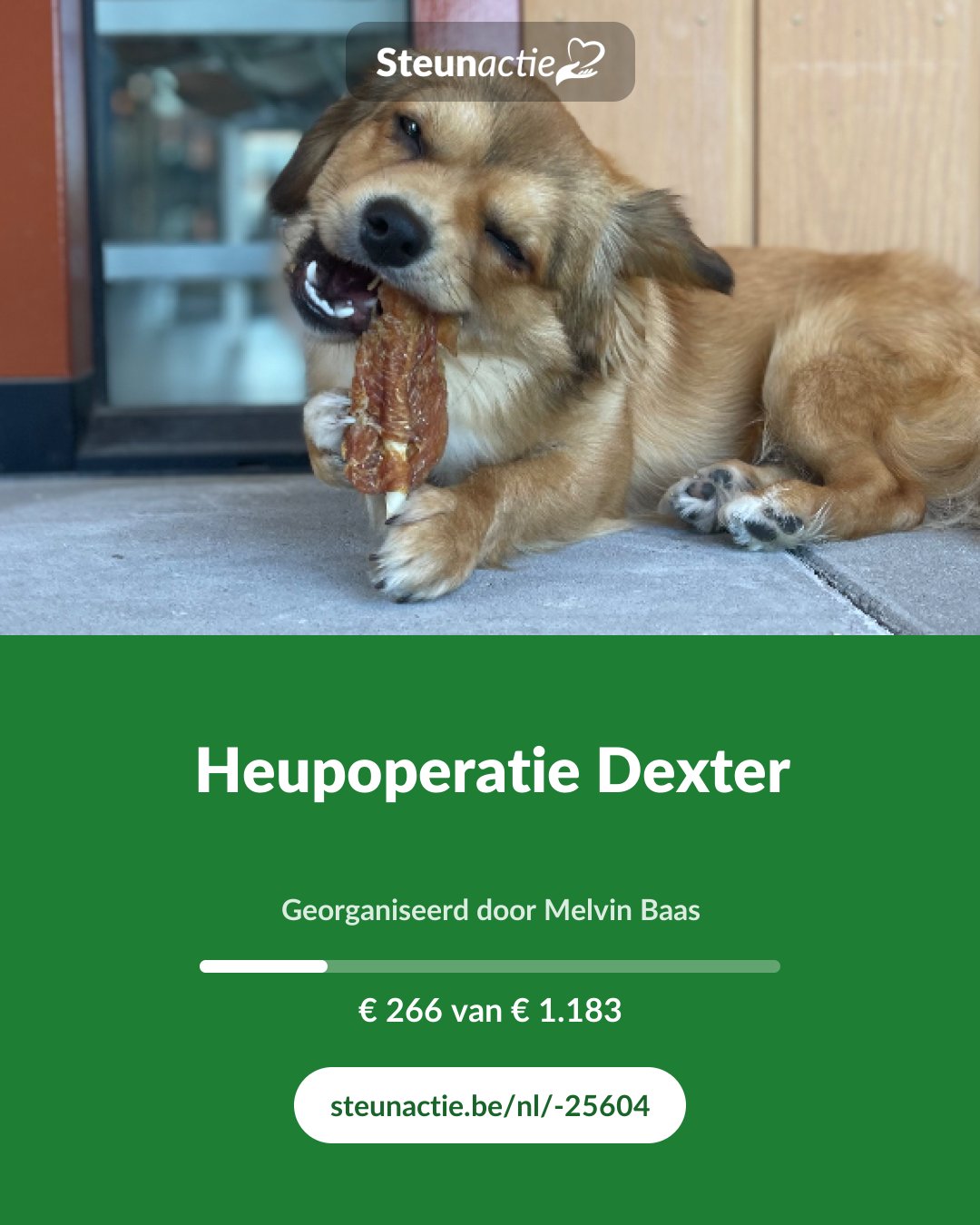 Voorbeeld van de afbeelding