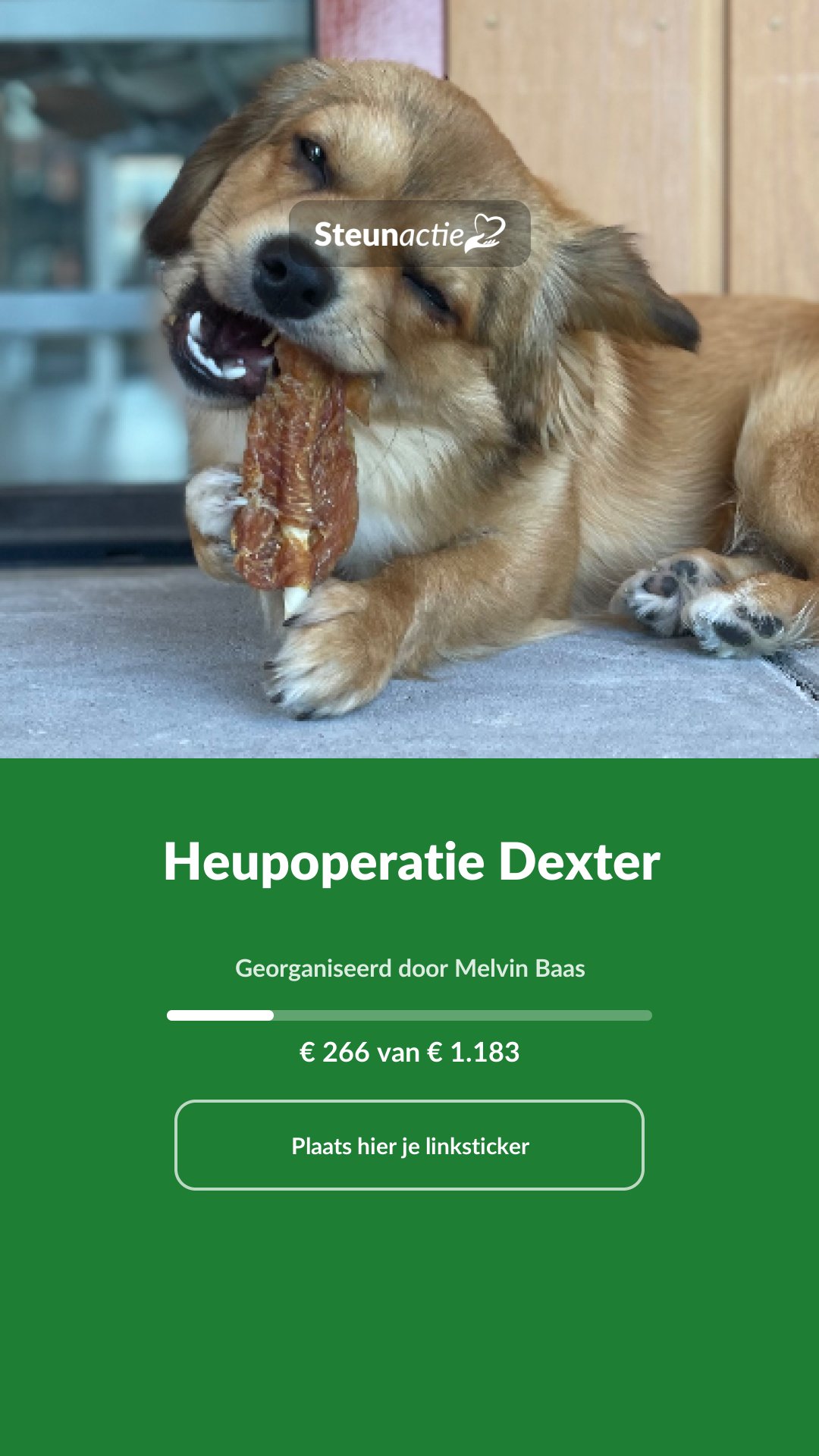 Voorbeeld van de afbeelding