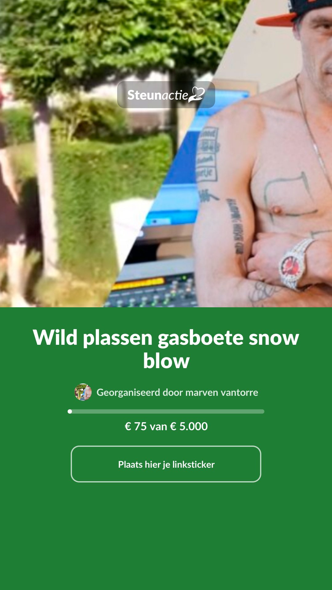 Voorbeeld van de afbeelding