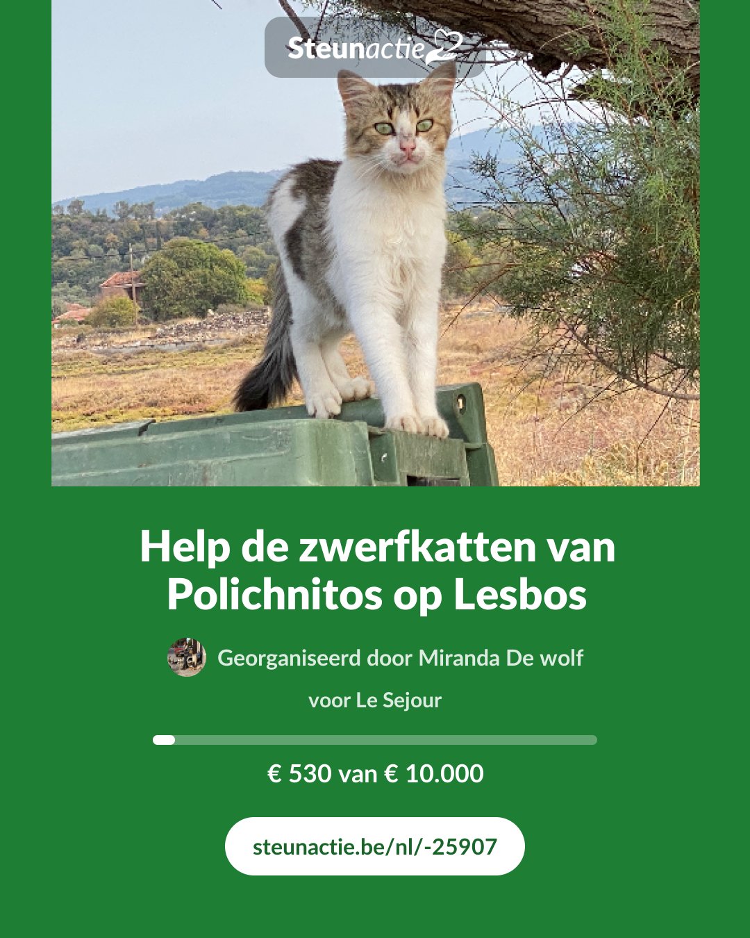 Voorbeeld van de afbeelding