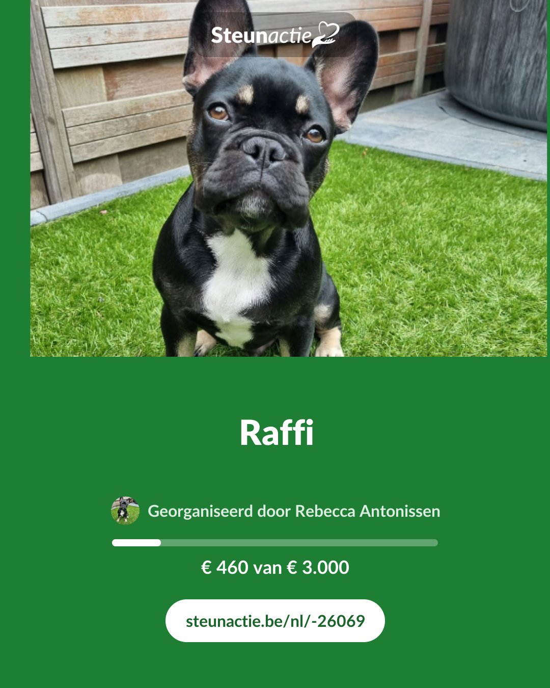 Voorbeeld van de afbeelding