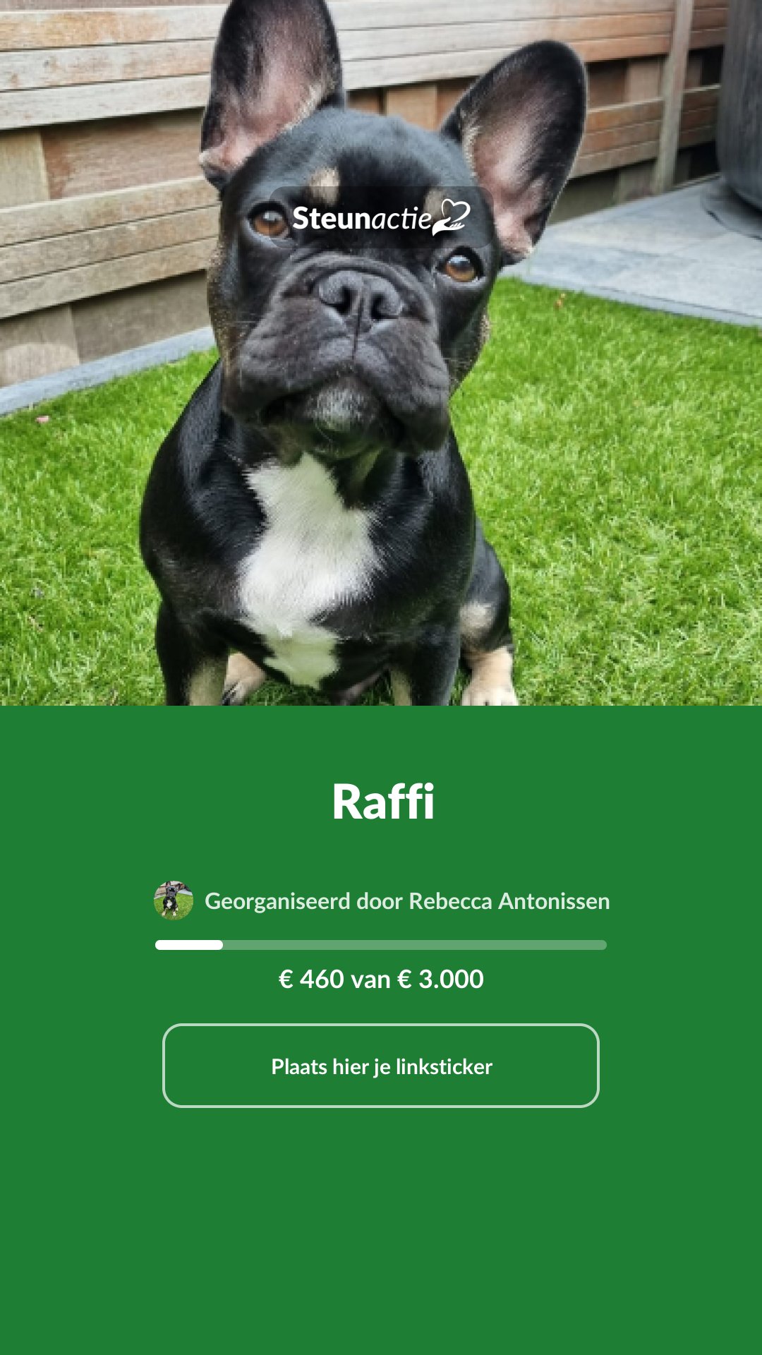 Voorbeeld van de afbeelding