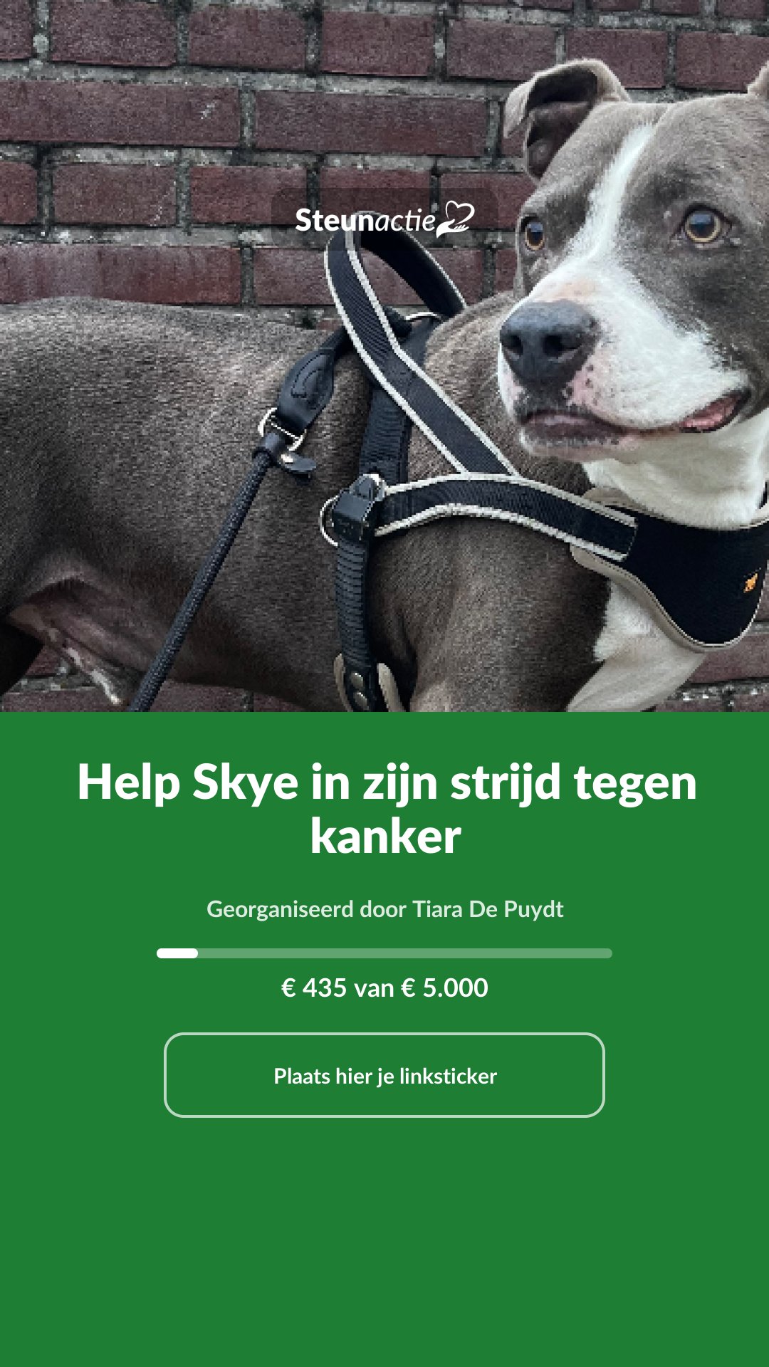 Voorbeeld van de afbeelding