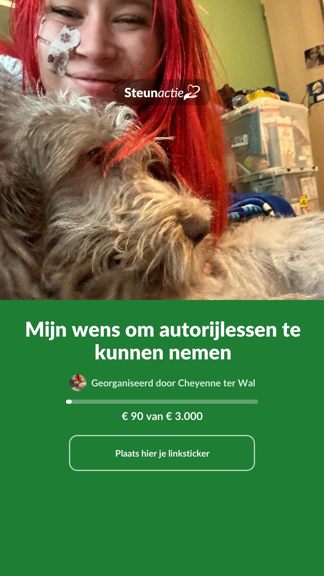 Voorbeeld van de afbeelding