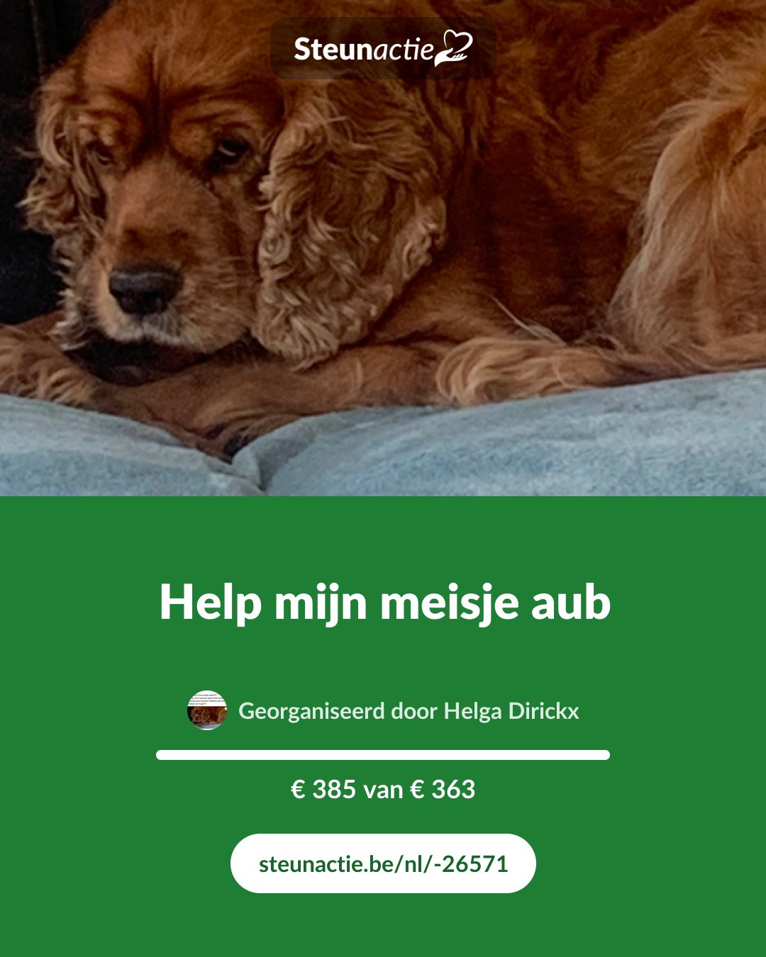 Voorbeeld van de afbeelding