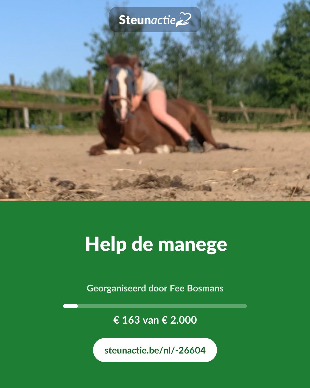 Voorbeeld van de afbeelding