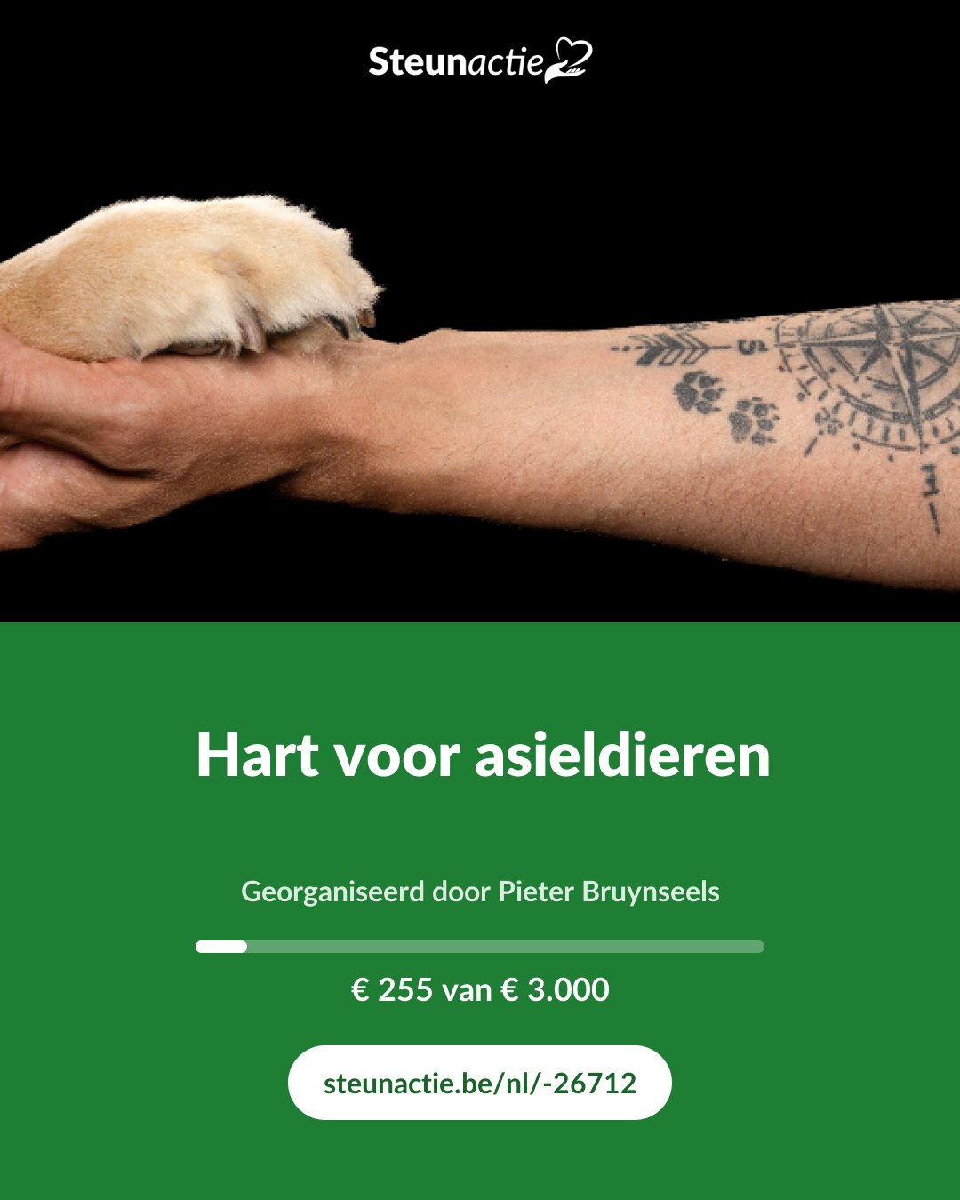 Voorbeeld van de afbeelding