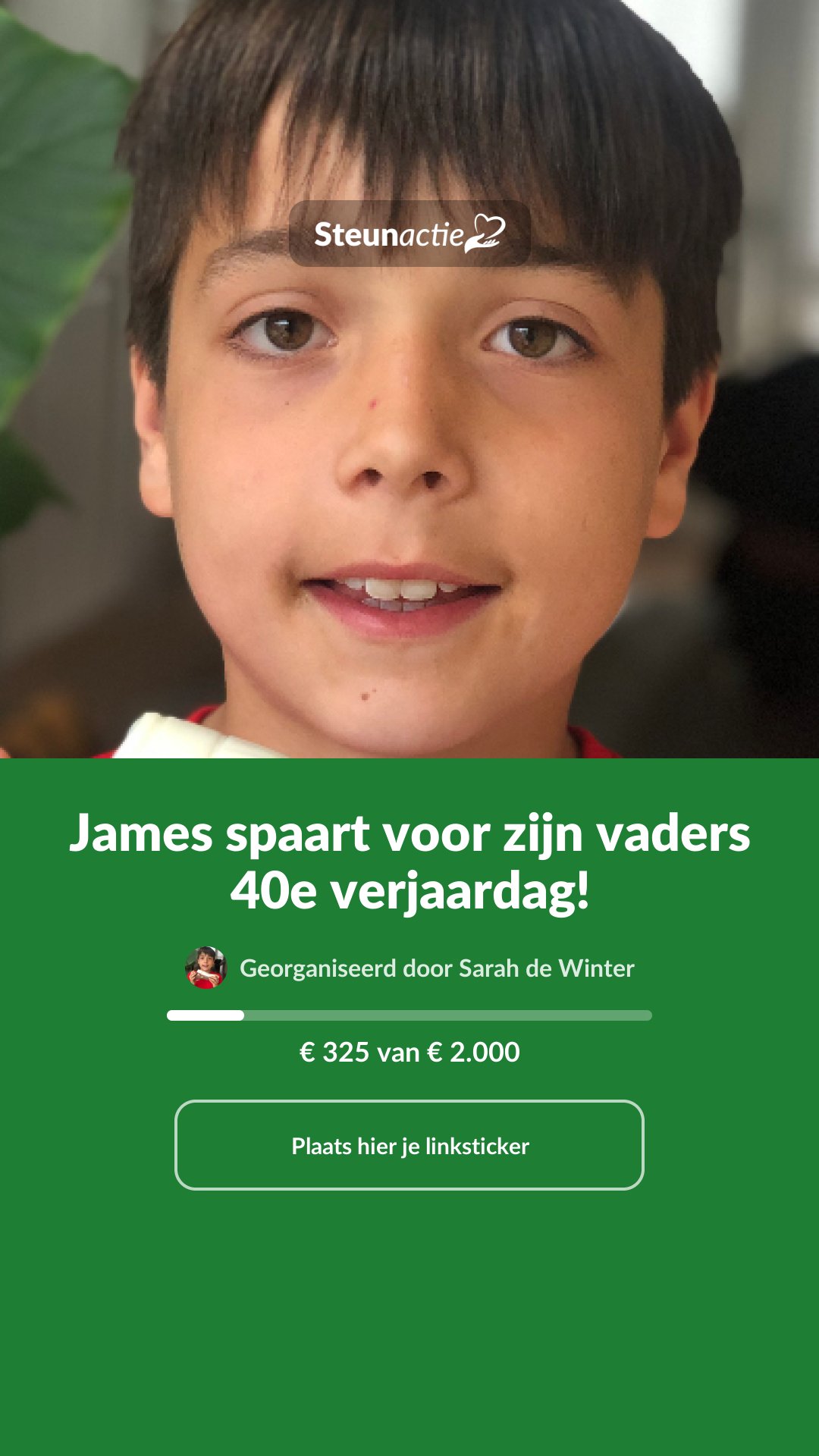 Voorbeeld van de afbeelding