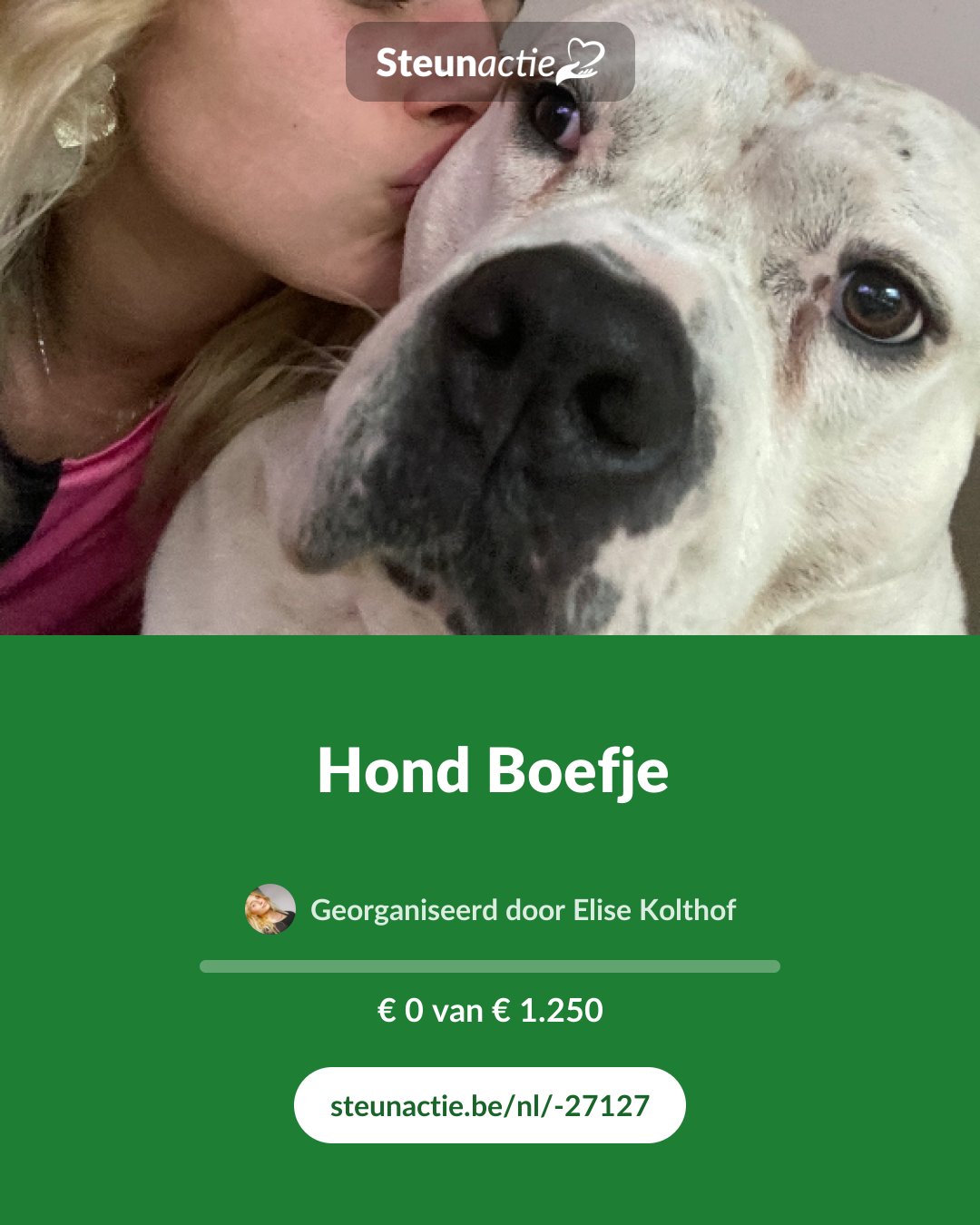 Voorbeeld van de afbeelding
