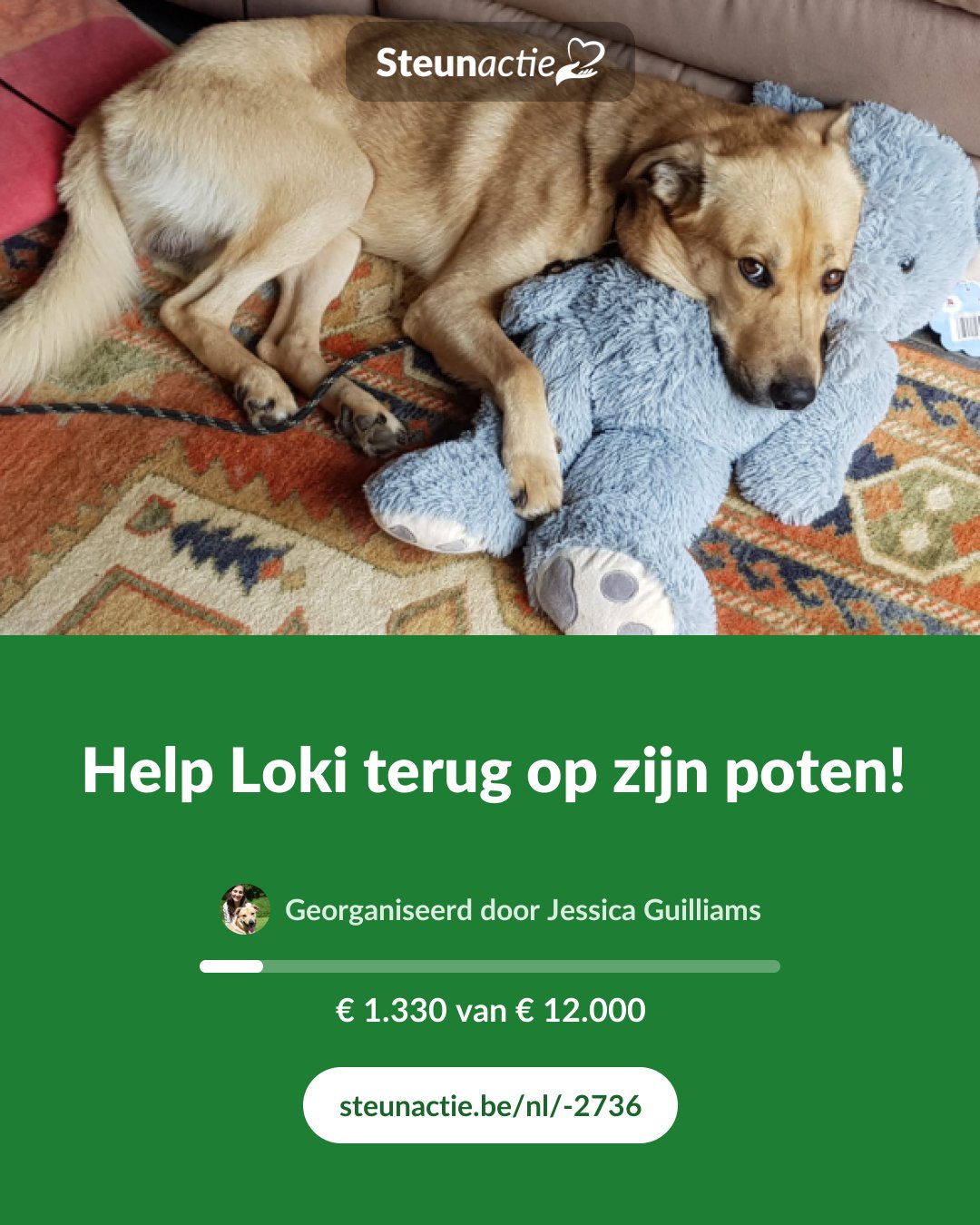 Voorbeeld van de afbeelding