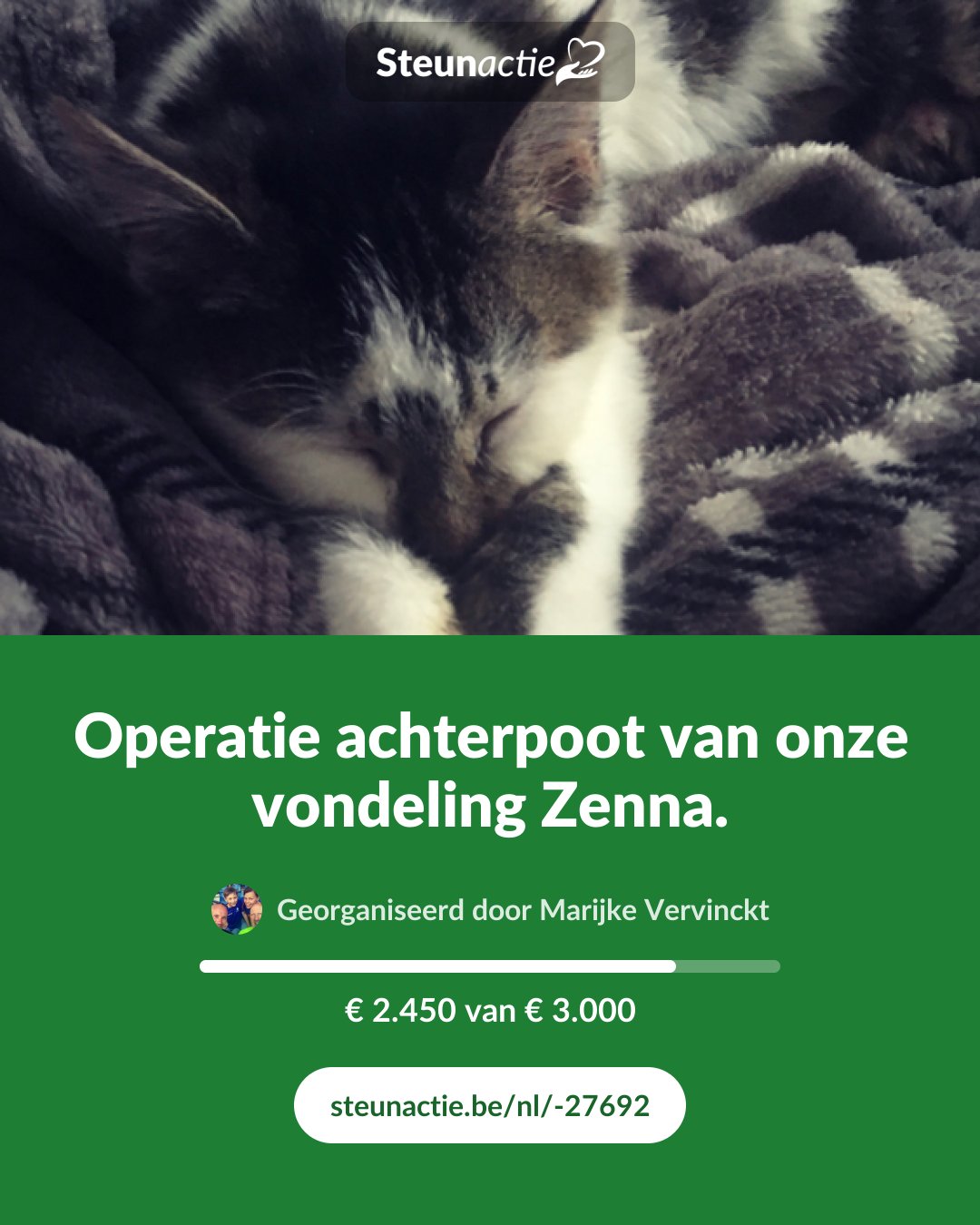 Voorbeeld van de afbeelding