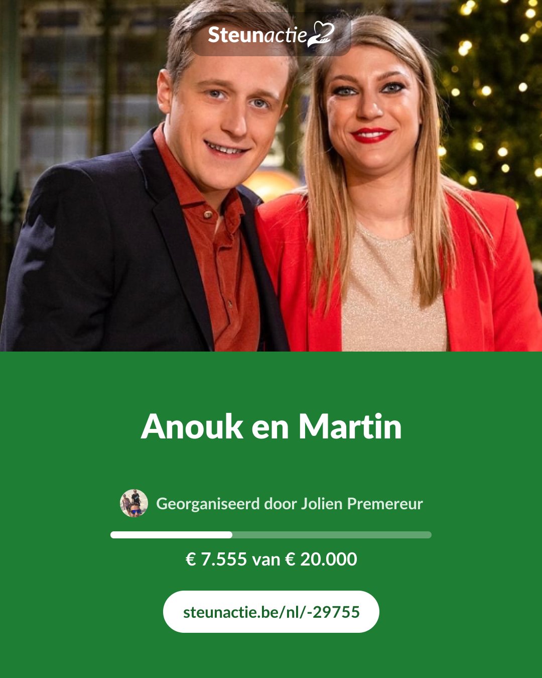 Voorbeeld van de afbeelding