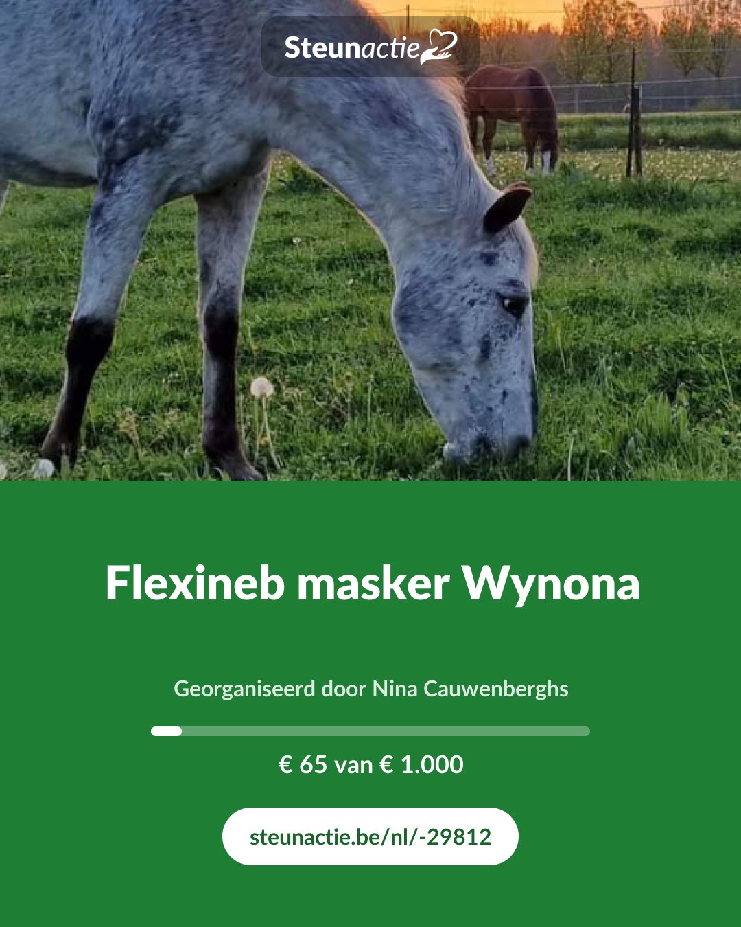 Voorbeeld van de afbeelding