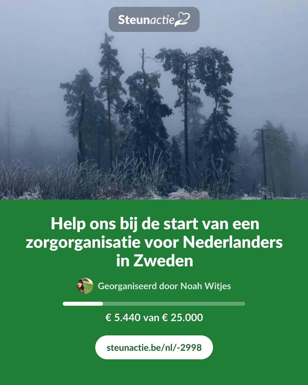Voorbeeld van de afbeelding