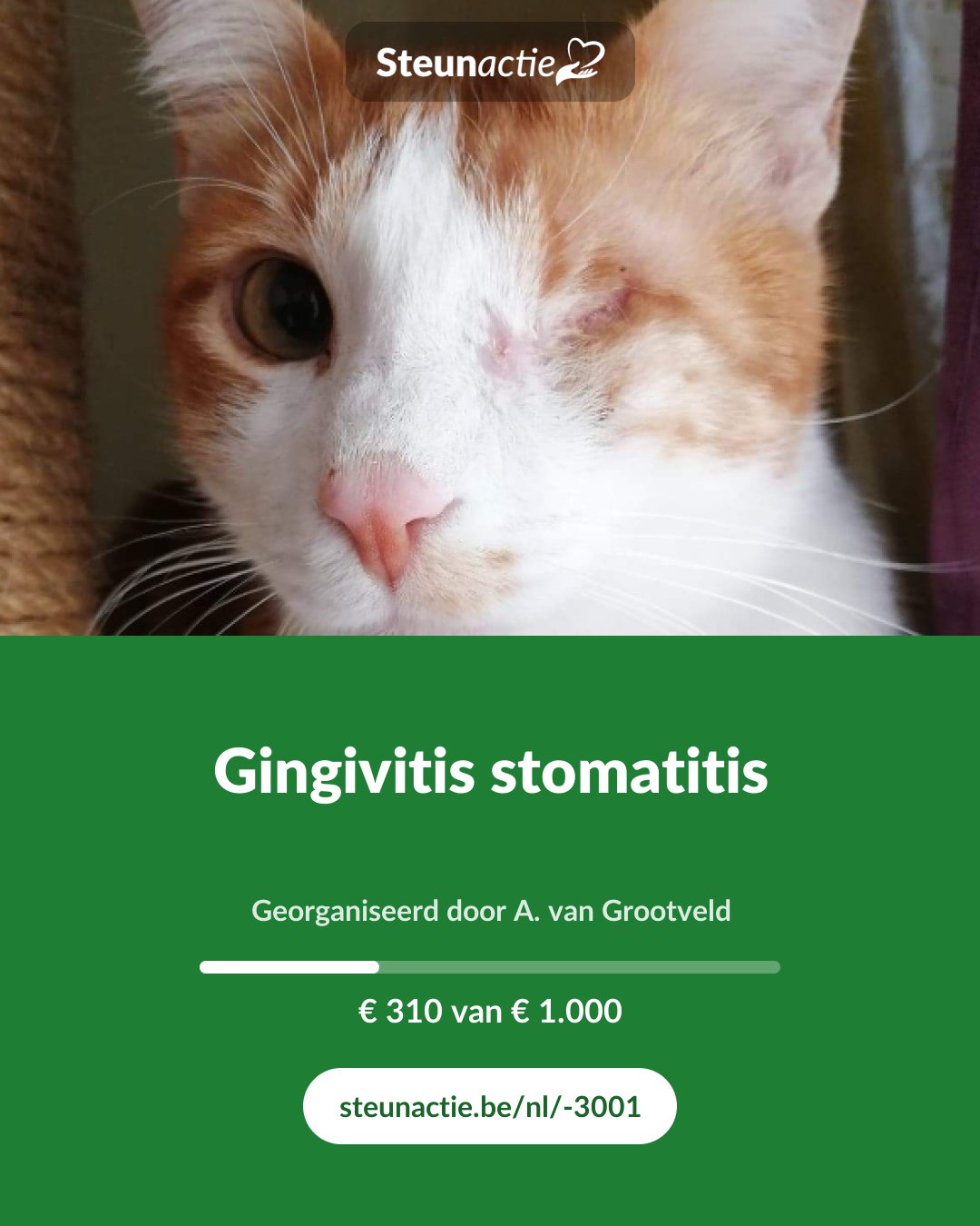 Voorbeeld van de afbeelding