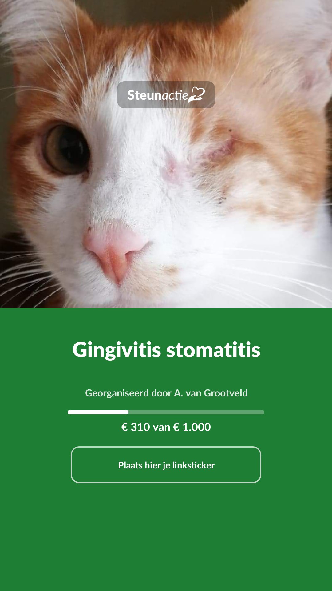 Voorbeeld van de afbeelding