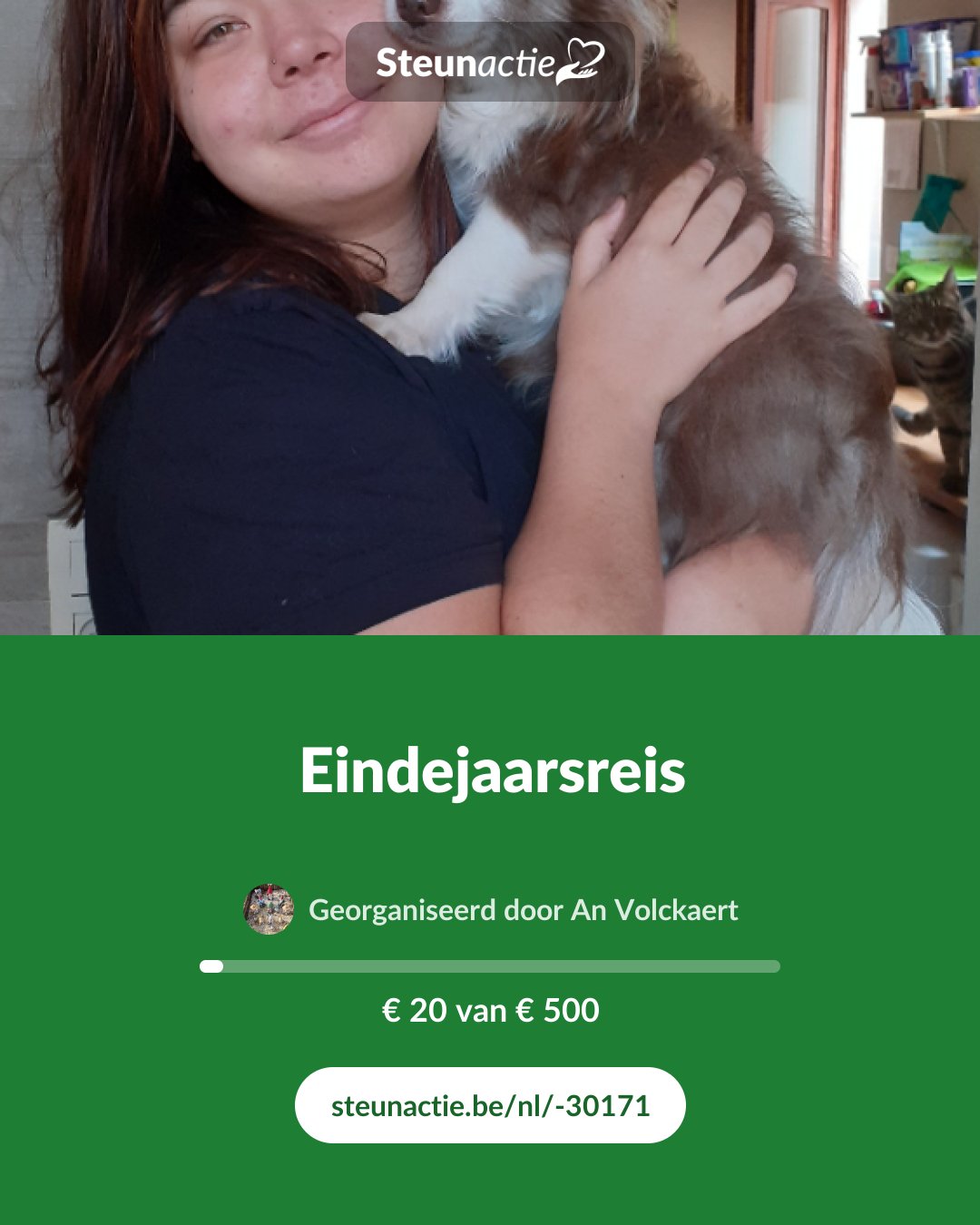 Voorbeeld van de afbeelding