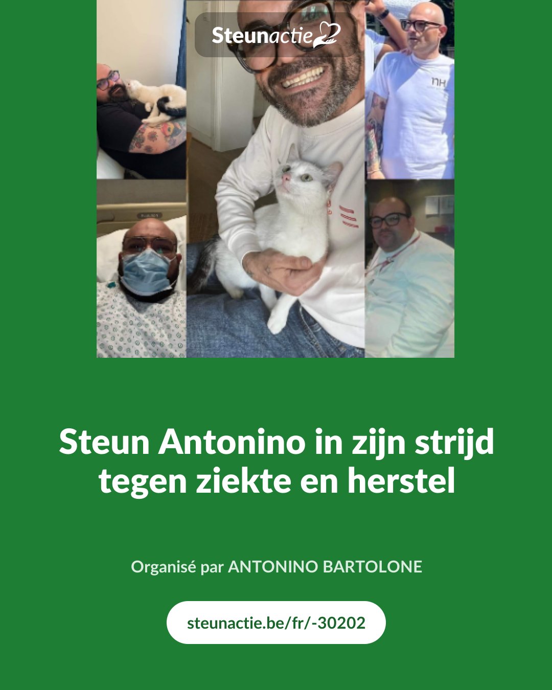 Aperçu de l'image