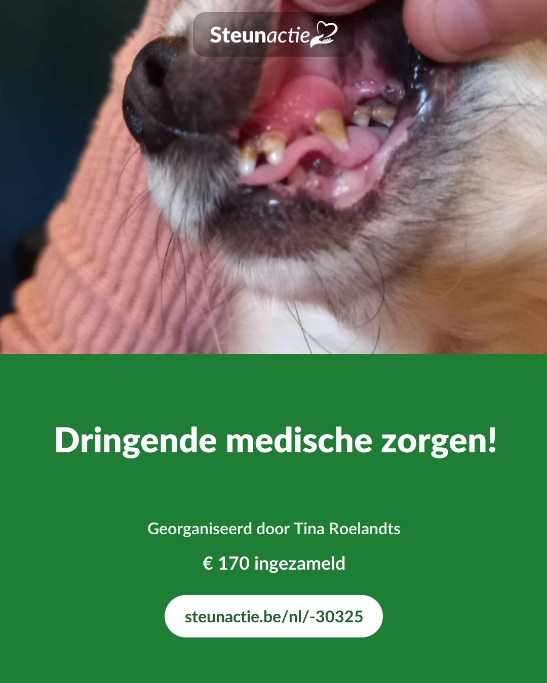 Voorbeeld van de afbeelding