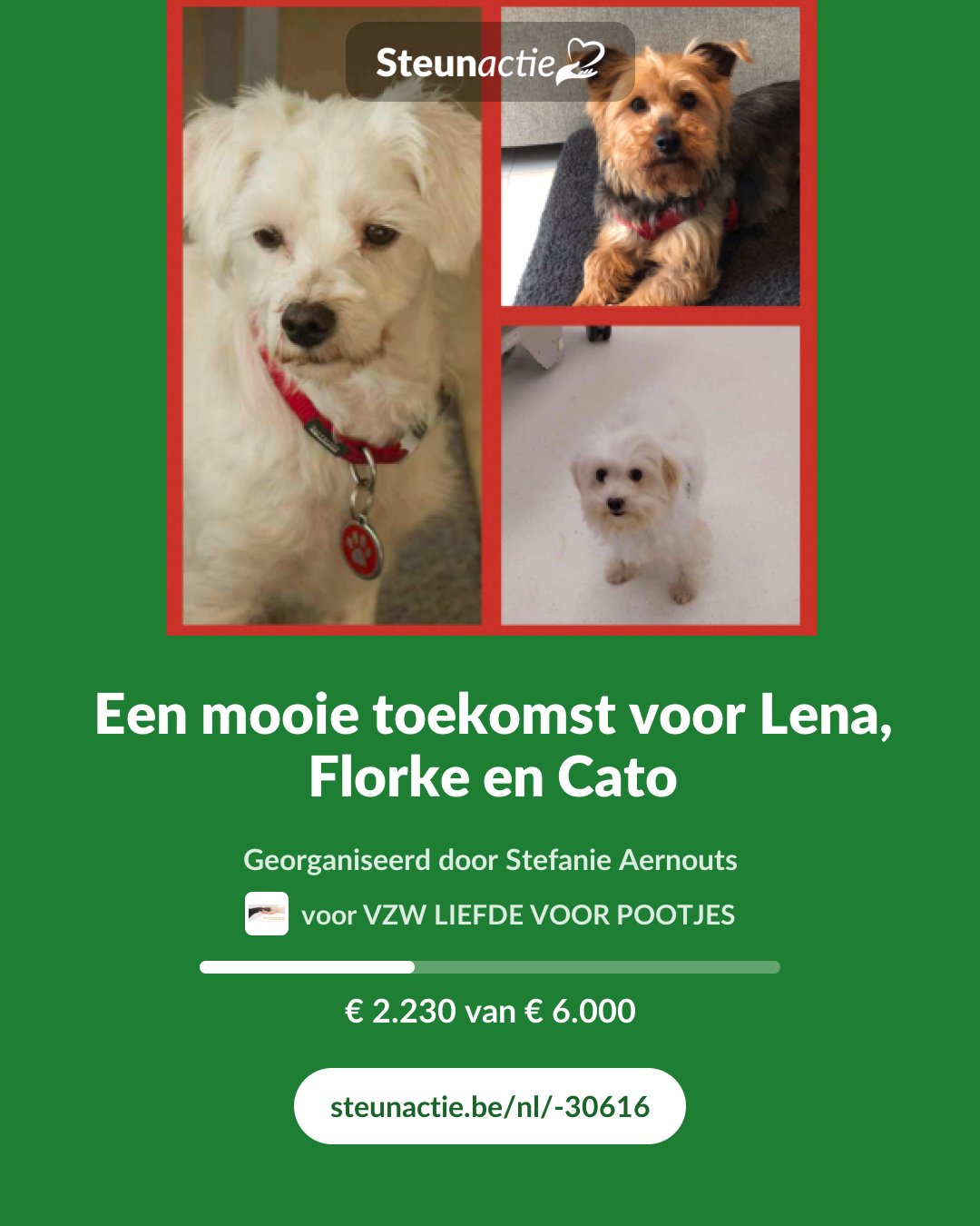 Voorbeeld van de afbeelding