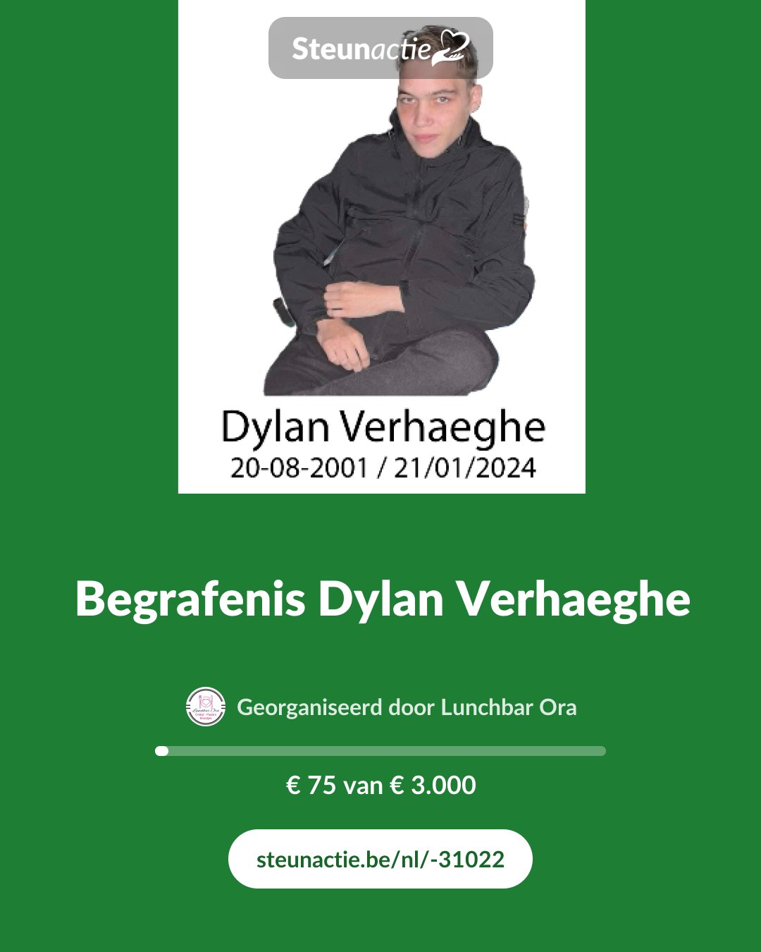Voorbeeld van de afbeelding