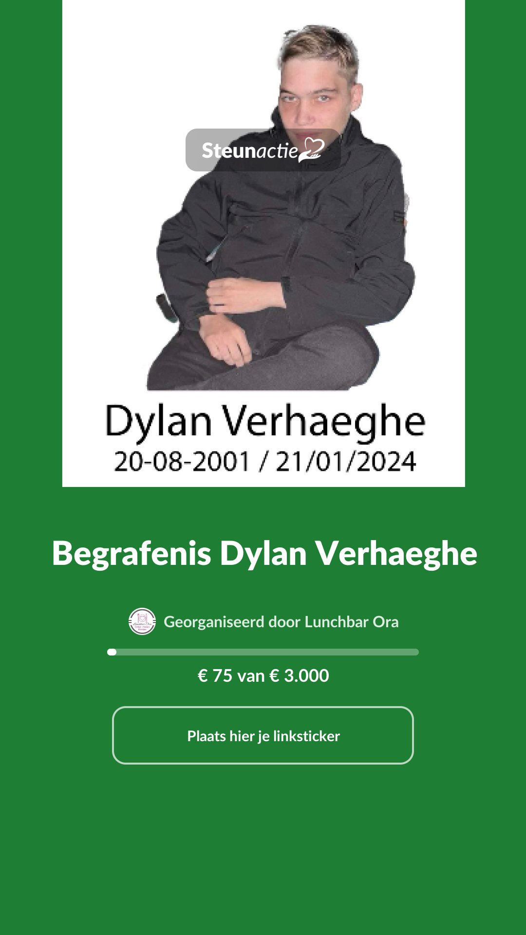 Voorbeeld van de afbeelding