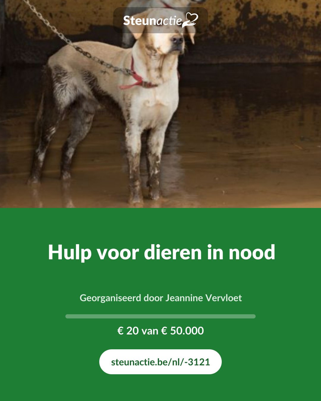 Voorbeeld van de afbeelding