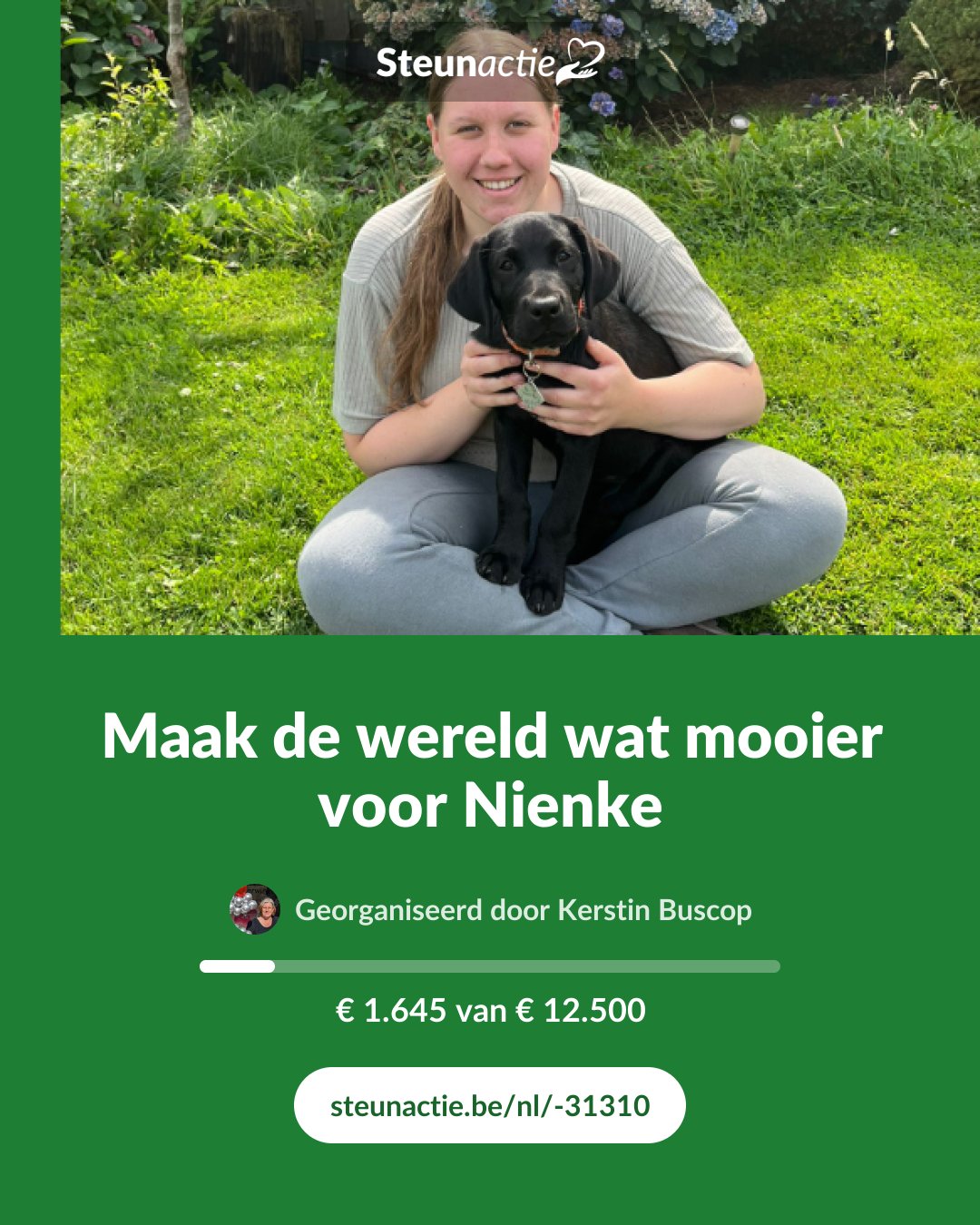 Voorbeeld van de afbeelding