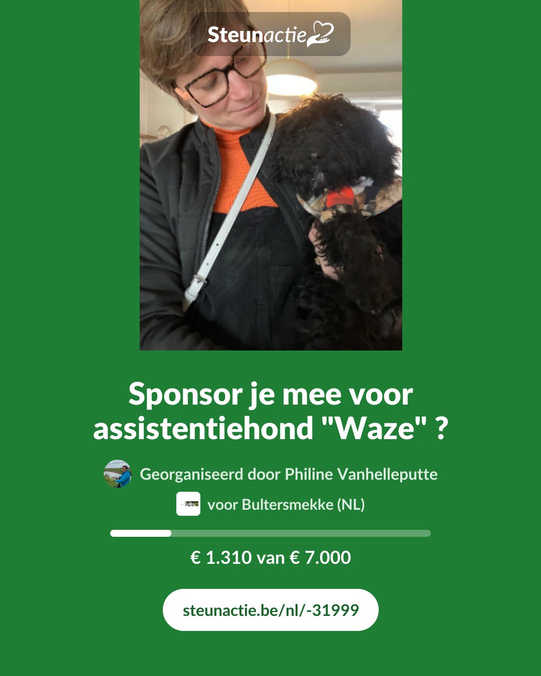 Voorbeeld van de afbeelding